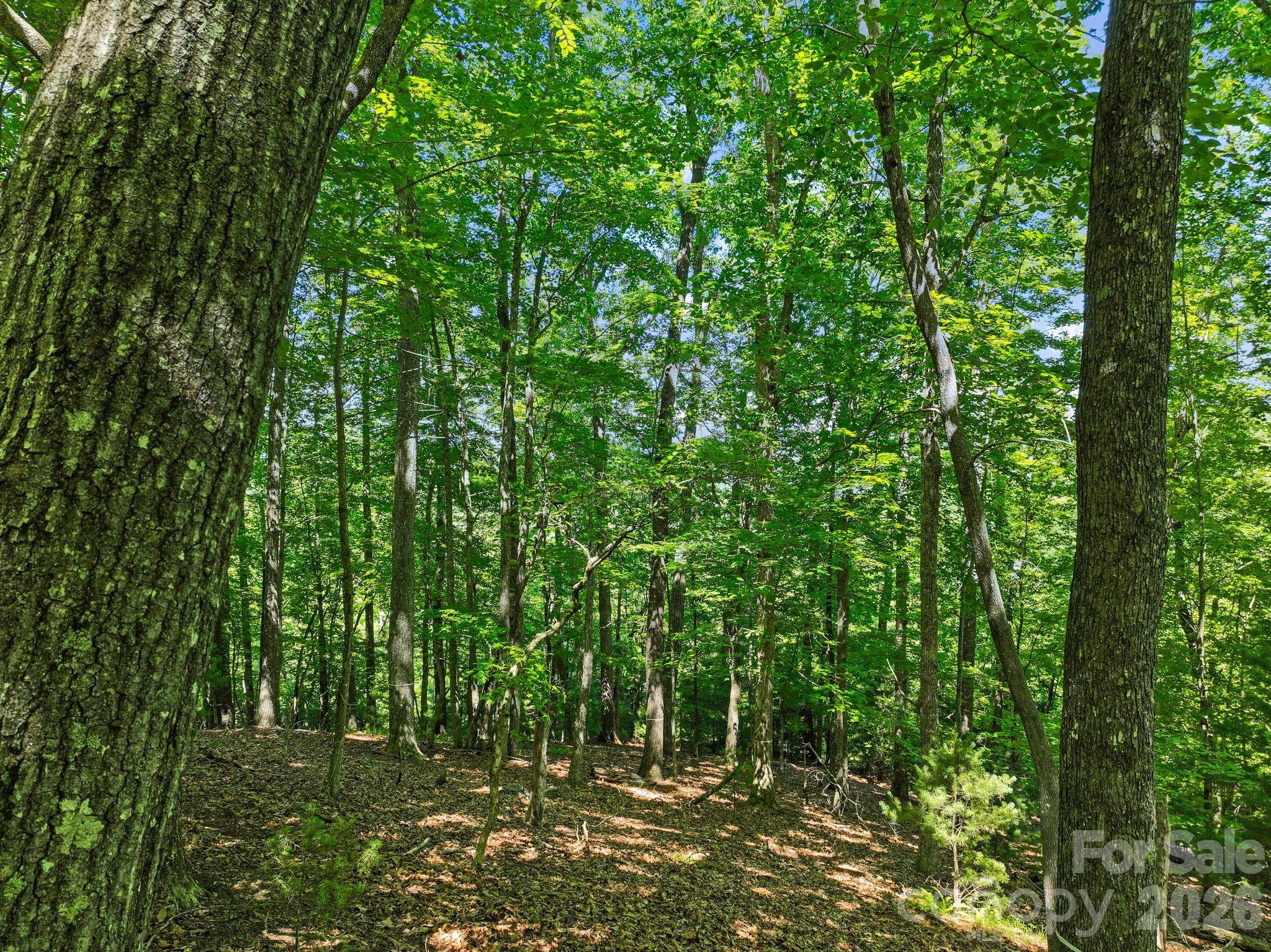 472 Mills River Way Property Photo 24