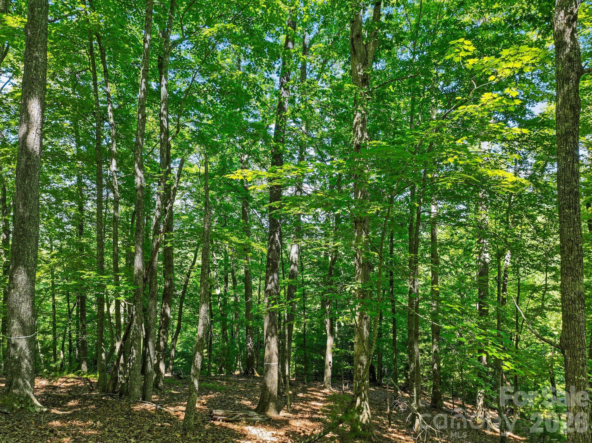 472 Mills River Way Property Photo 25