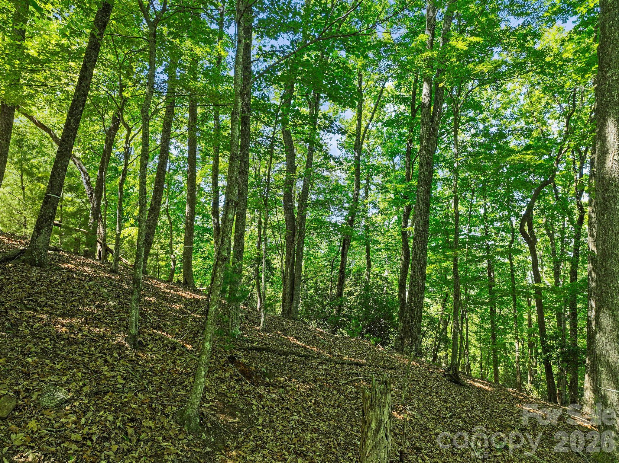 472 Mills River Way Property Photo 26