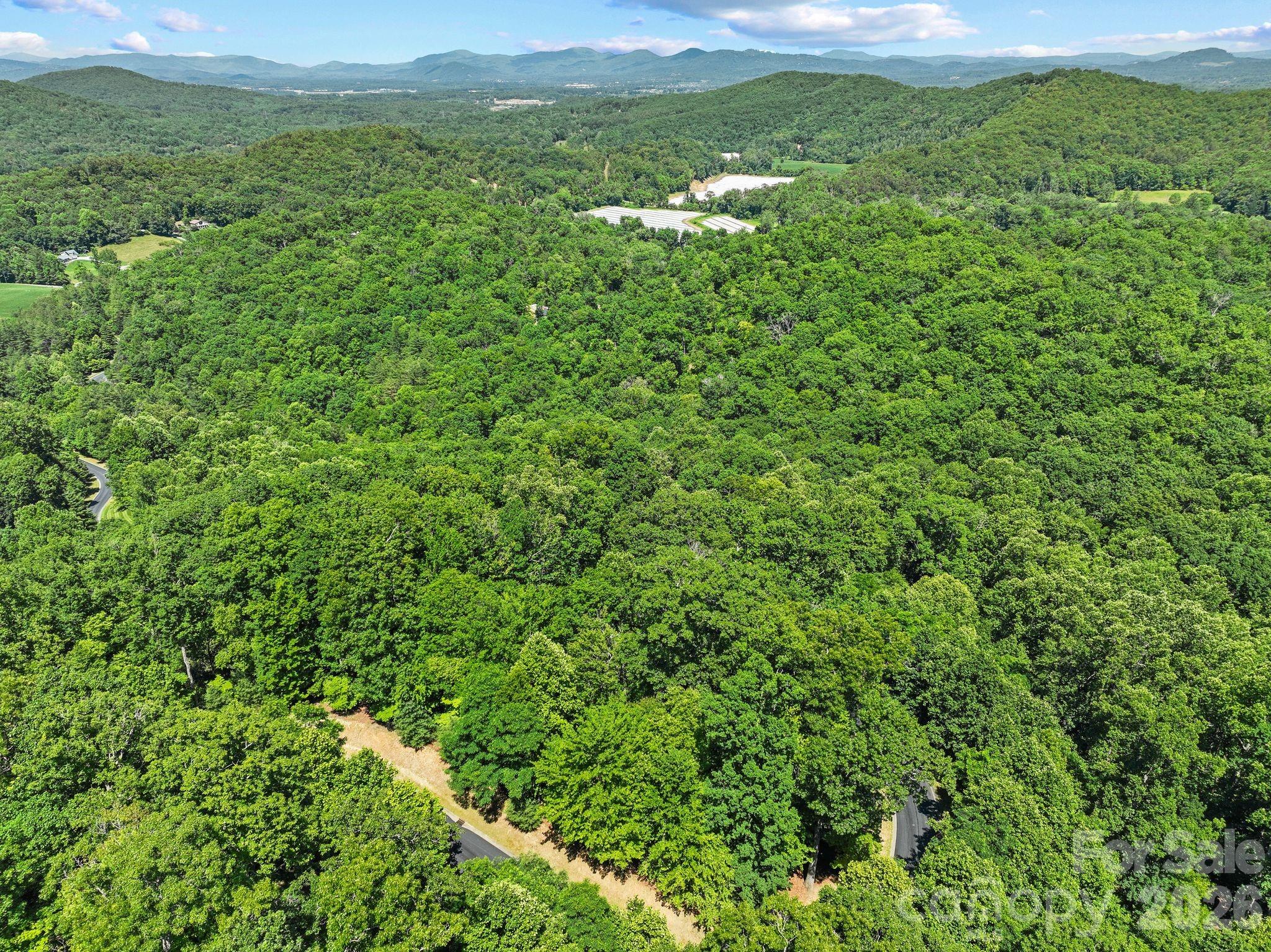 472 Mills River Way Property Photo 27