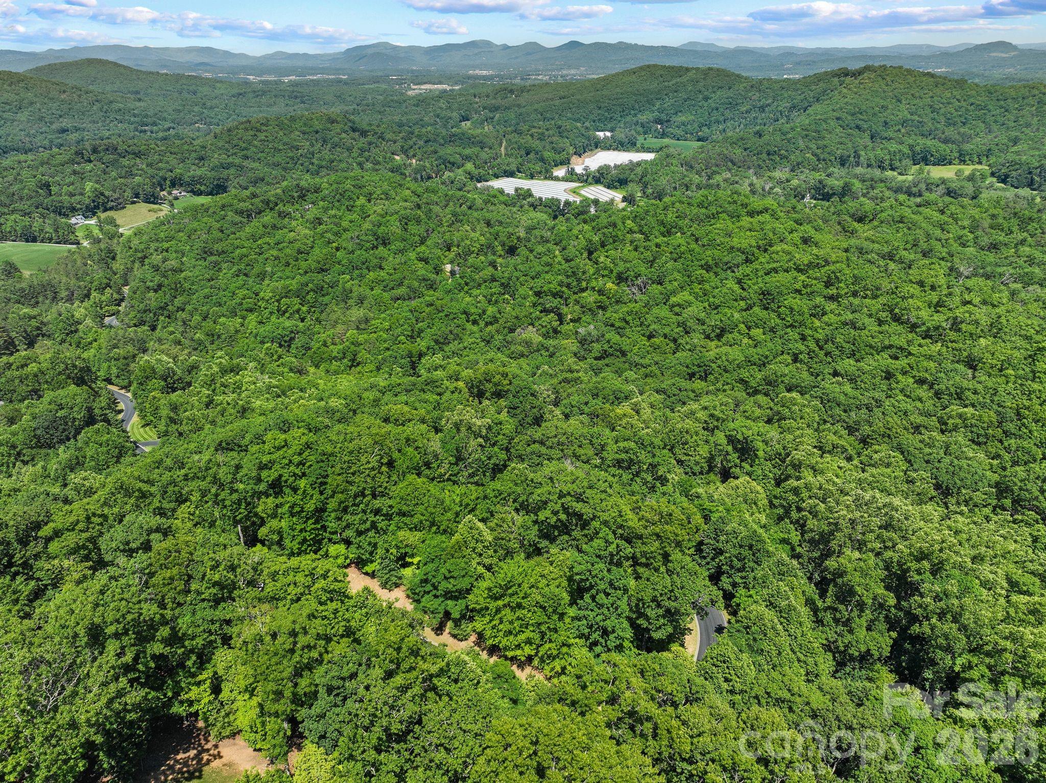 472 Mills River Way Property Photo 28