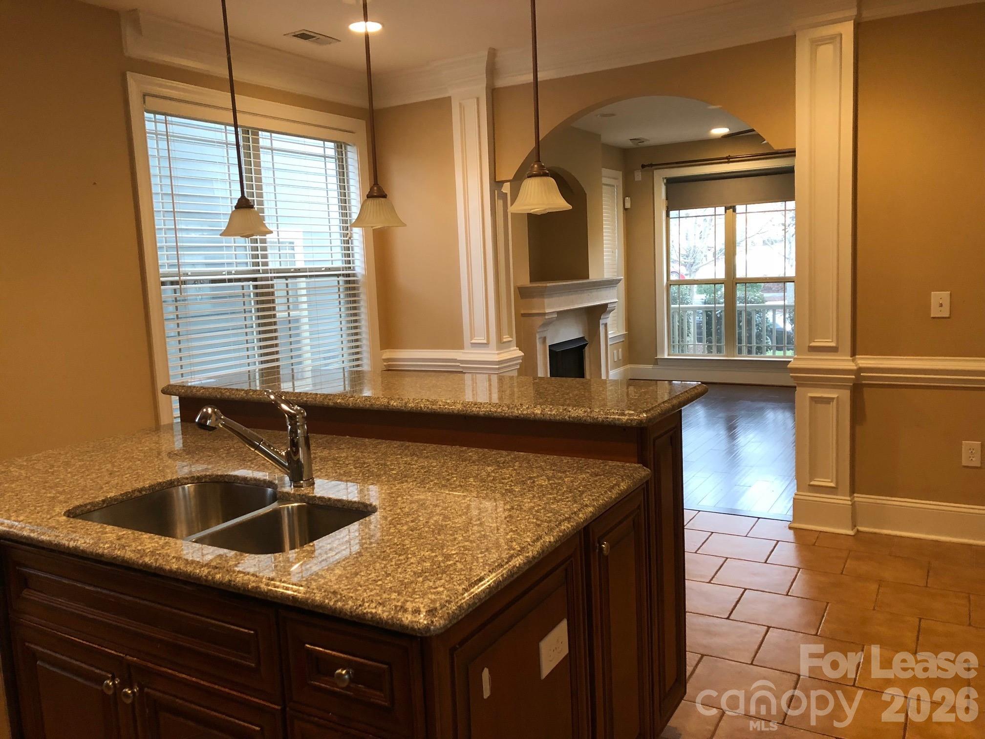 15314 S Birkdale Commons Parkway Property Photo 2