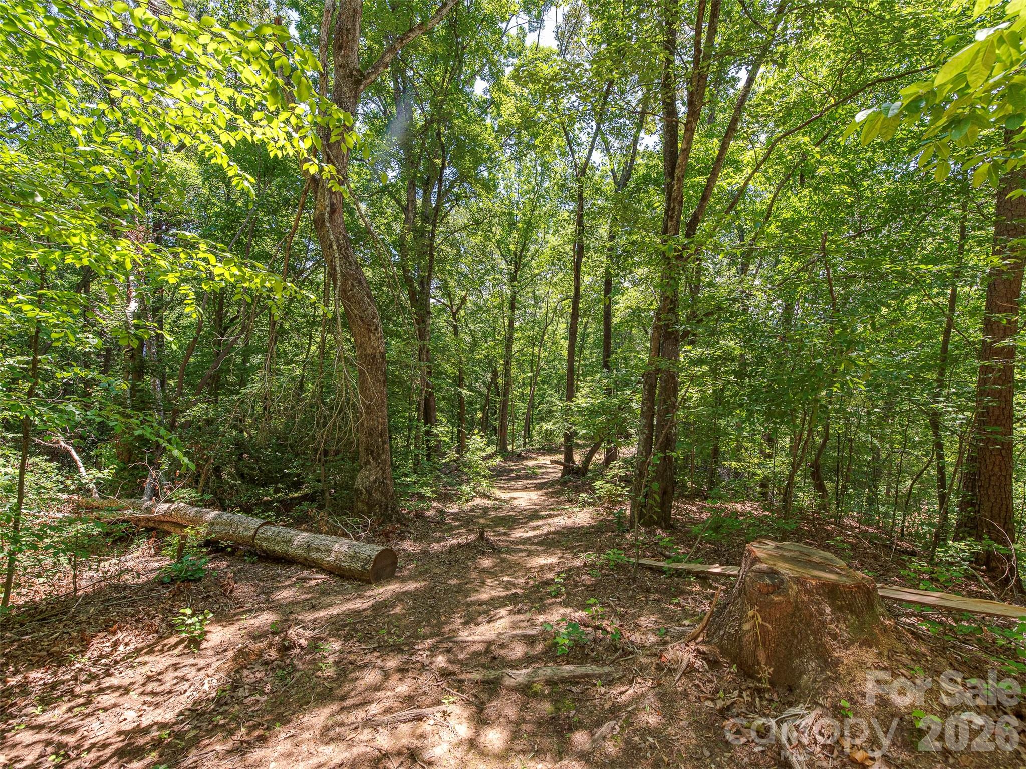 3901 Hickory Highway Property Photo 22