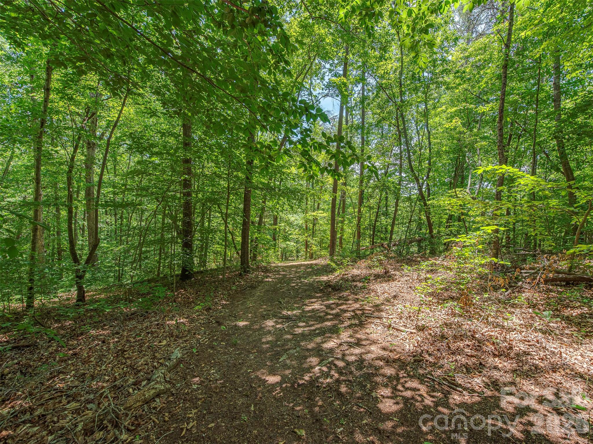 3901 Hickory Highway Property Photo 23