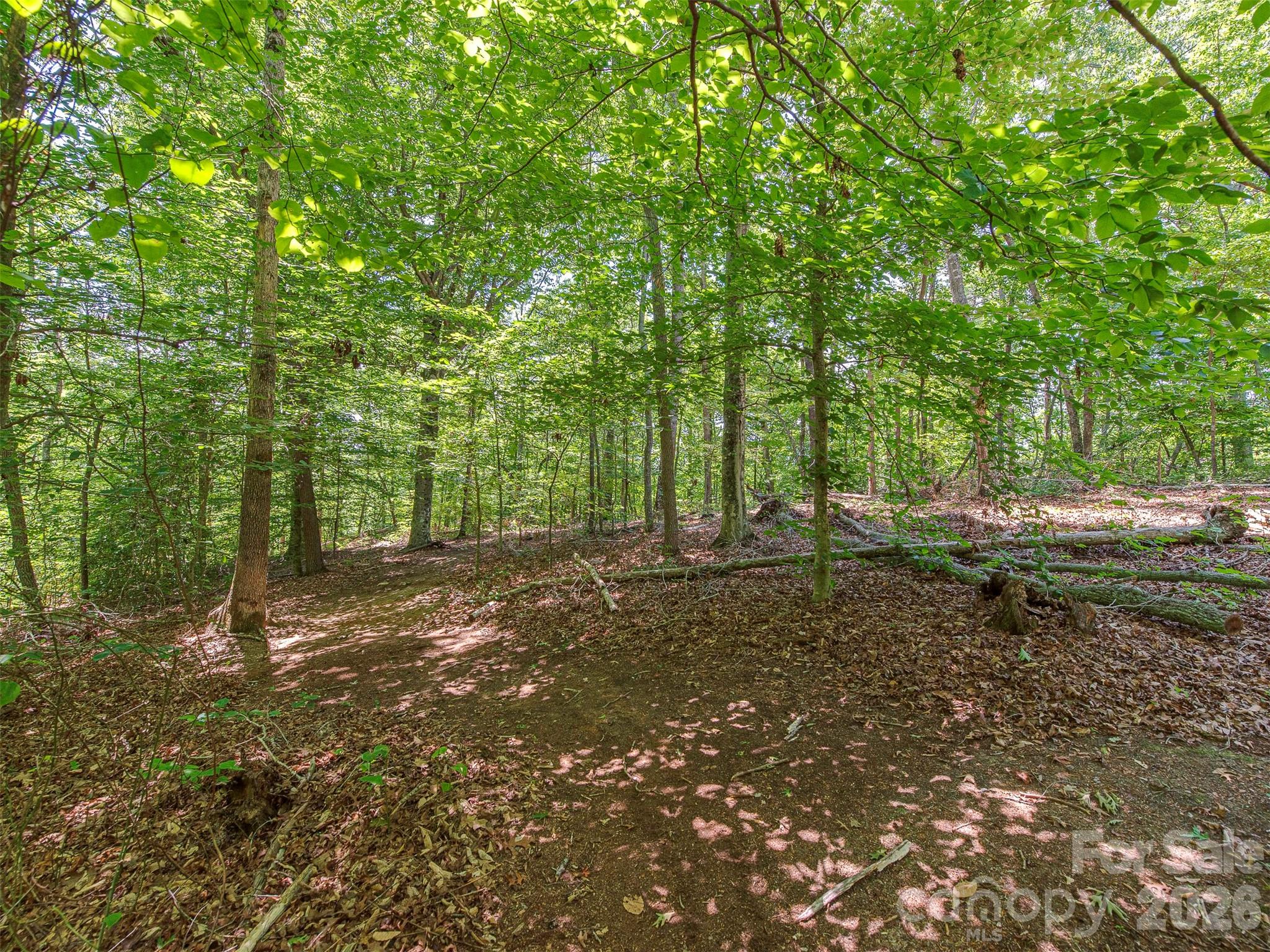 3901 Hickory Highway Property Photo 24