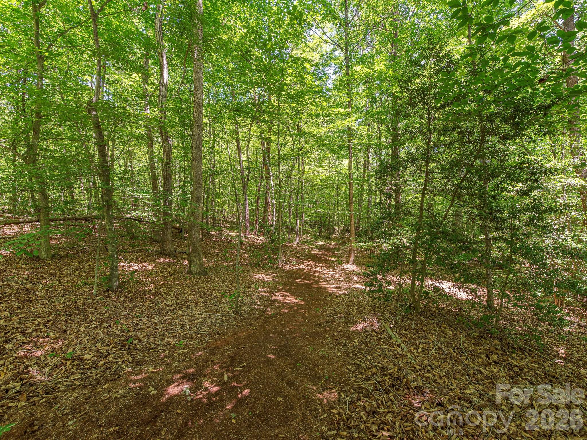 3901 Hickory Highway Property Photo 25