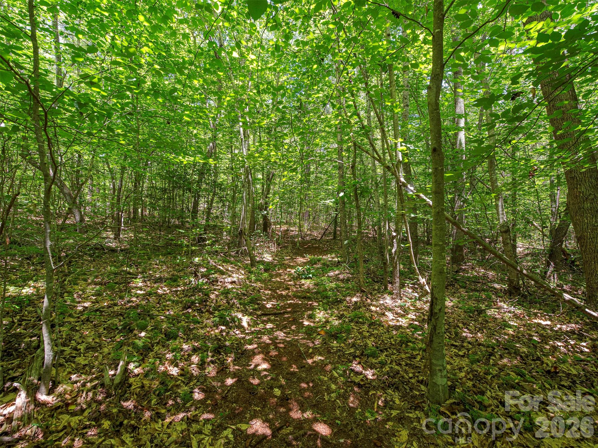 3901 Hickory Highway Property Photo 26