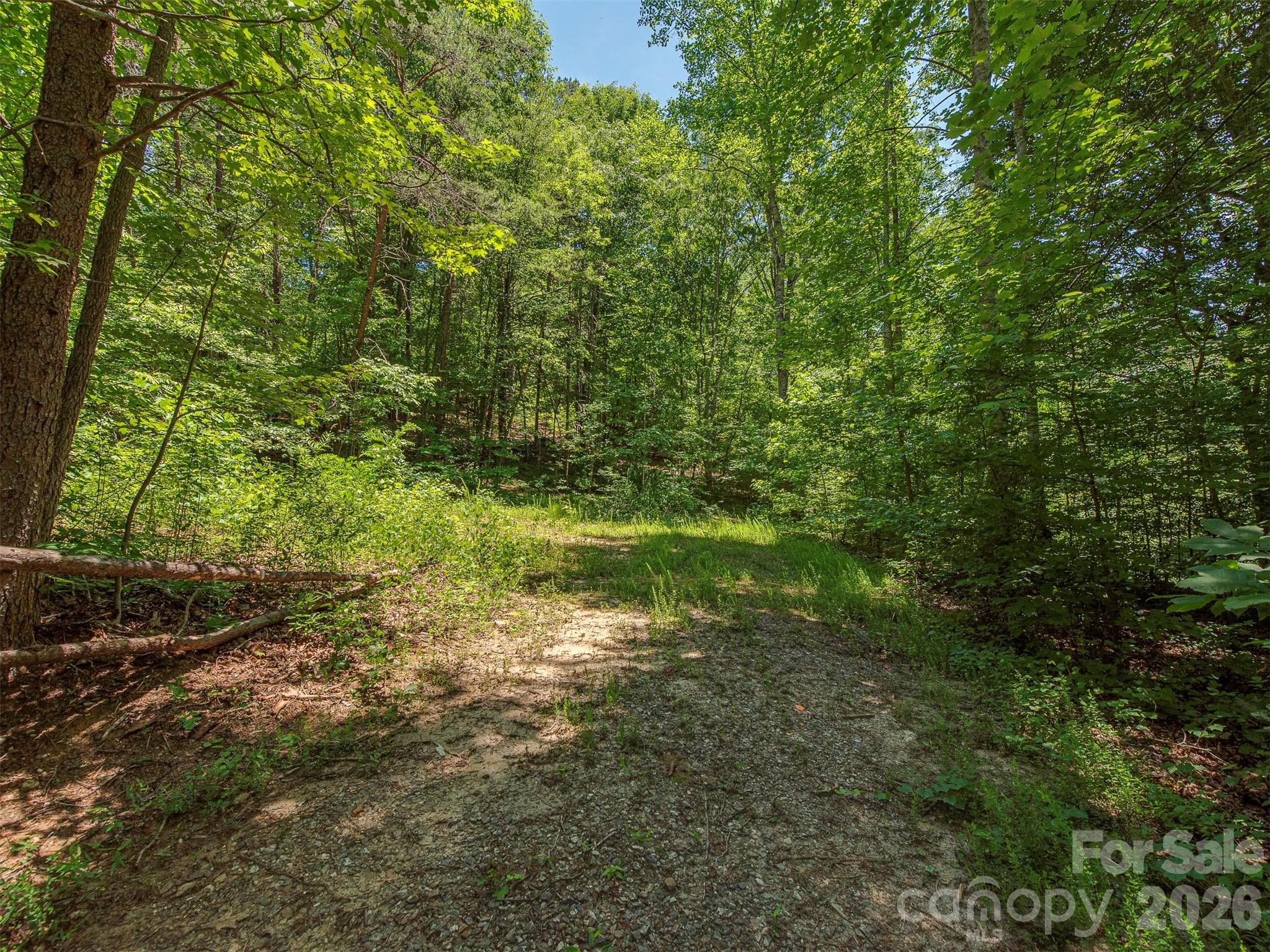 3901 Hickory Highway Property Photo 27