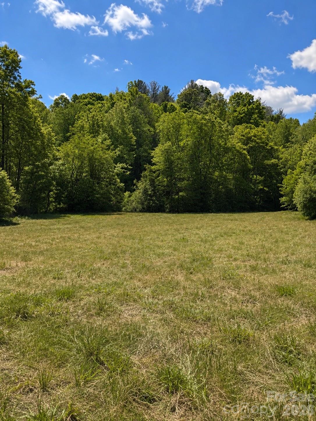8186 Old Nc Highway 60 None 60 Property Photo 3