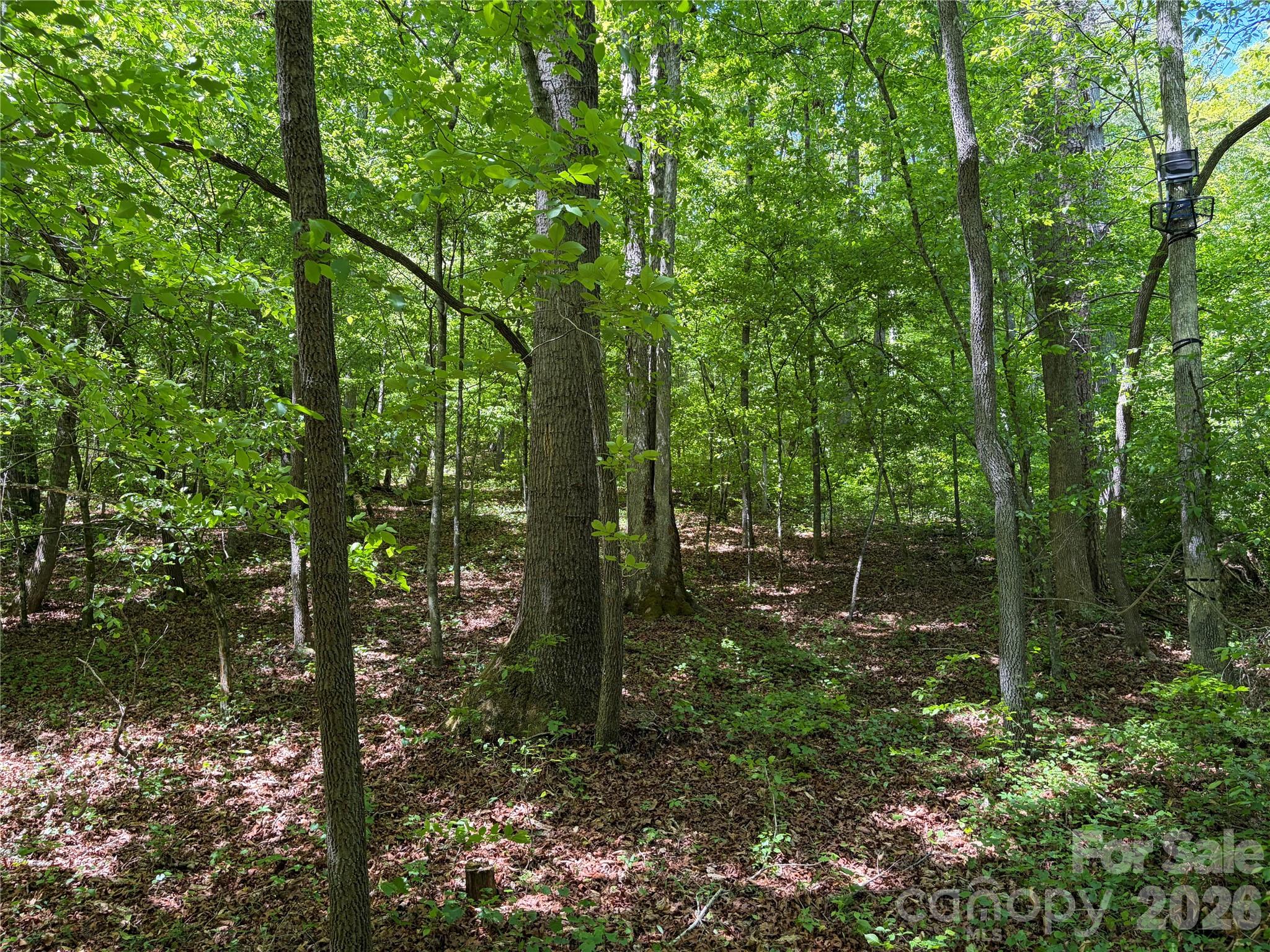 8186 Old Nc Highway 60 None 60 Property Photo 4