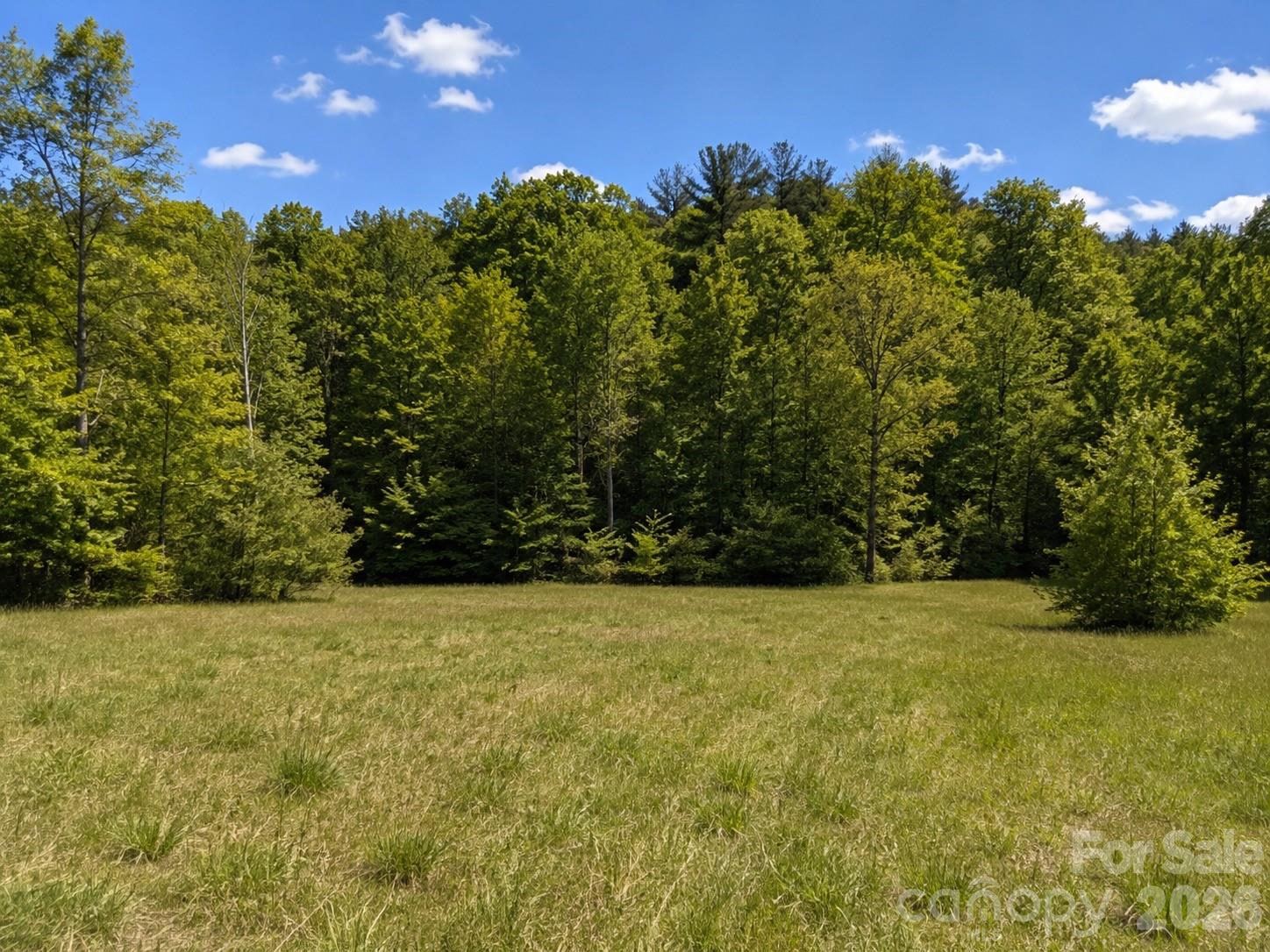 8186 Old Nc Highway 60 None 60 Property Photo 6