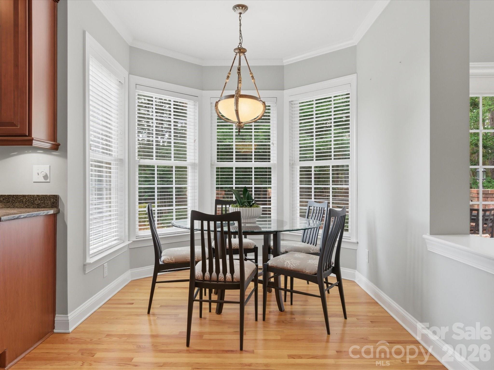 8404 Denholme Drive Property Photo 17