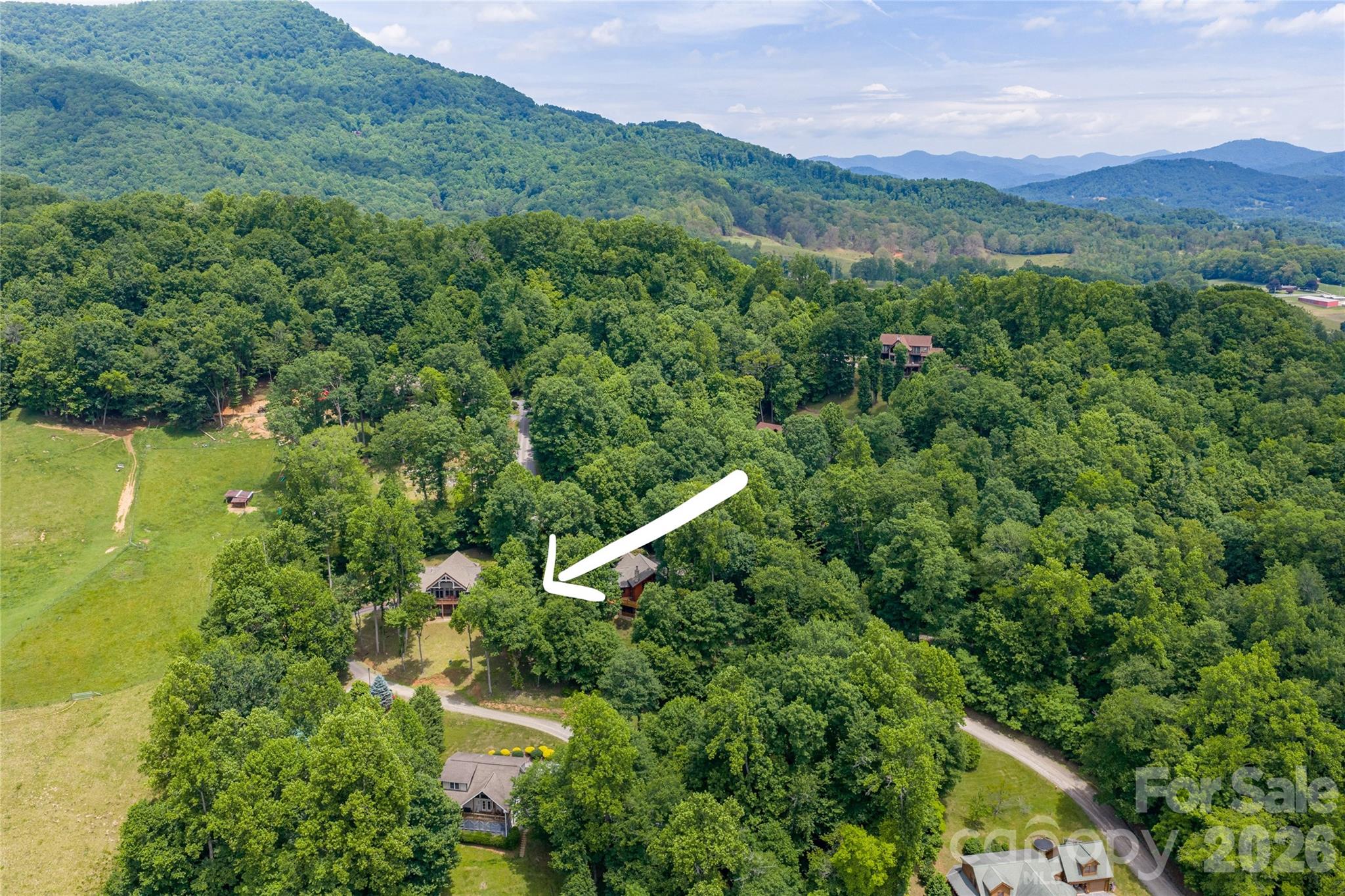 170 Cradling Cove Property Photo 46