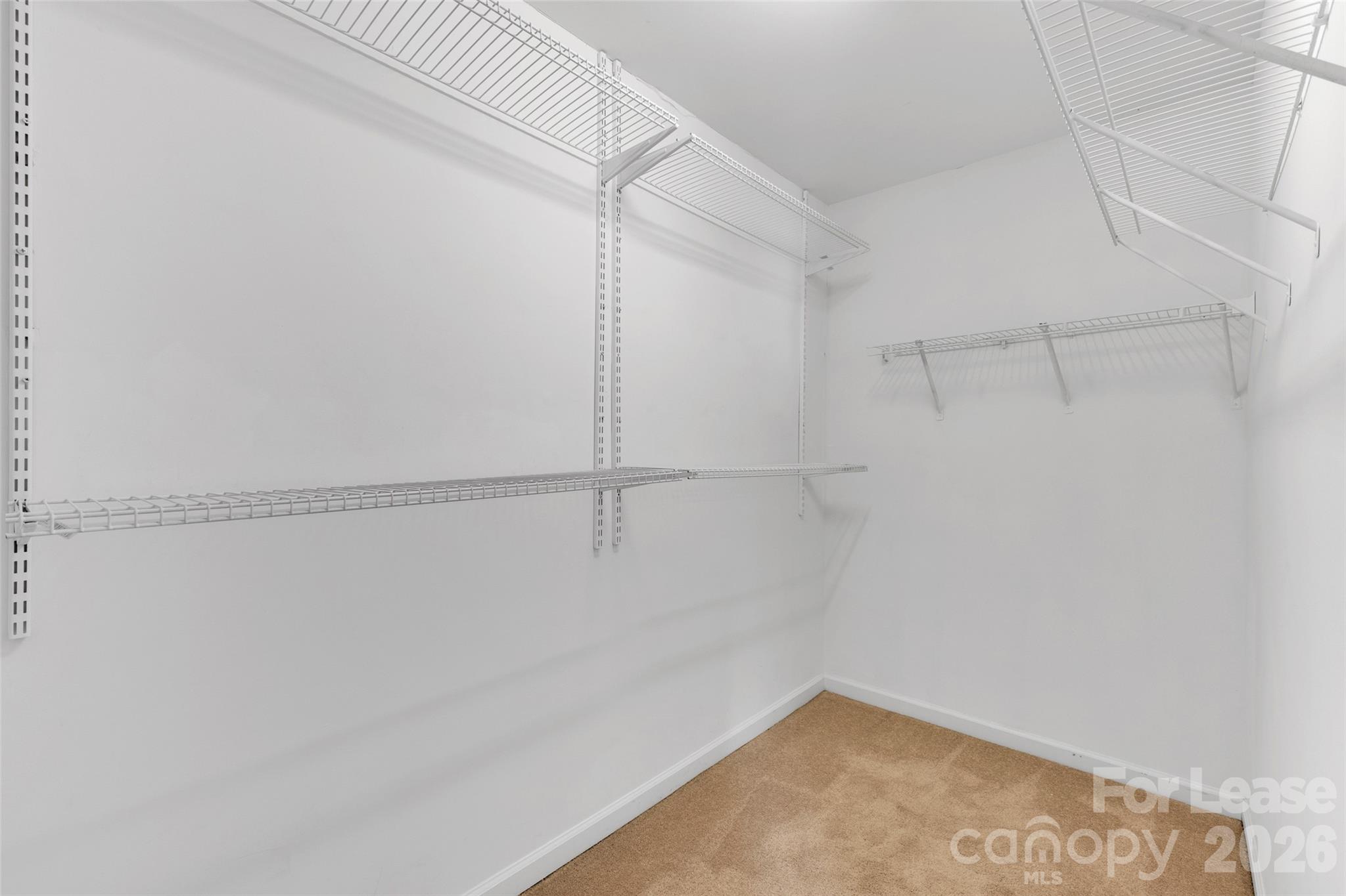 940 Tiger Lane Property Photo 21