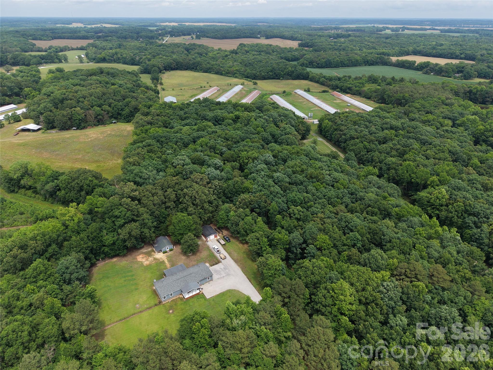 0 Pigg Mattox Road Property Photo 4