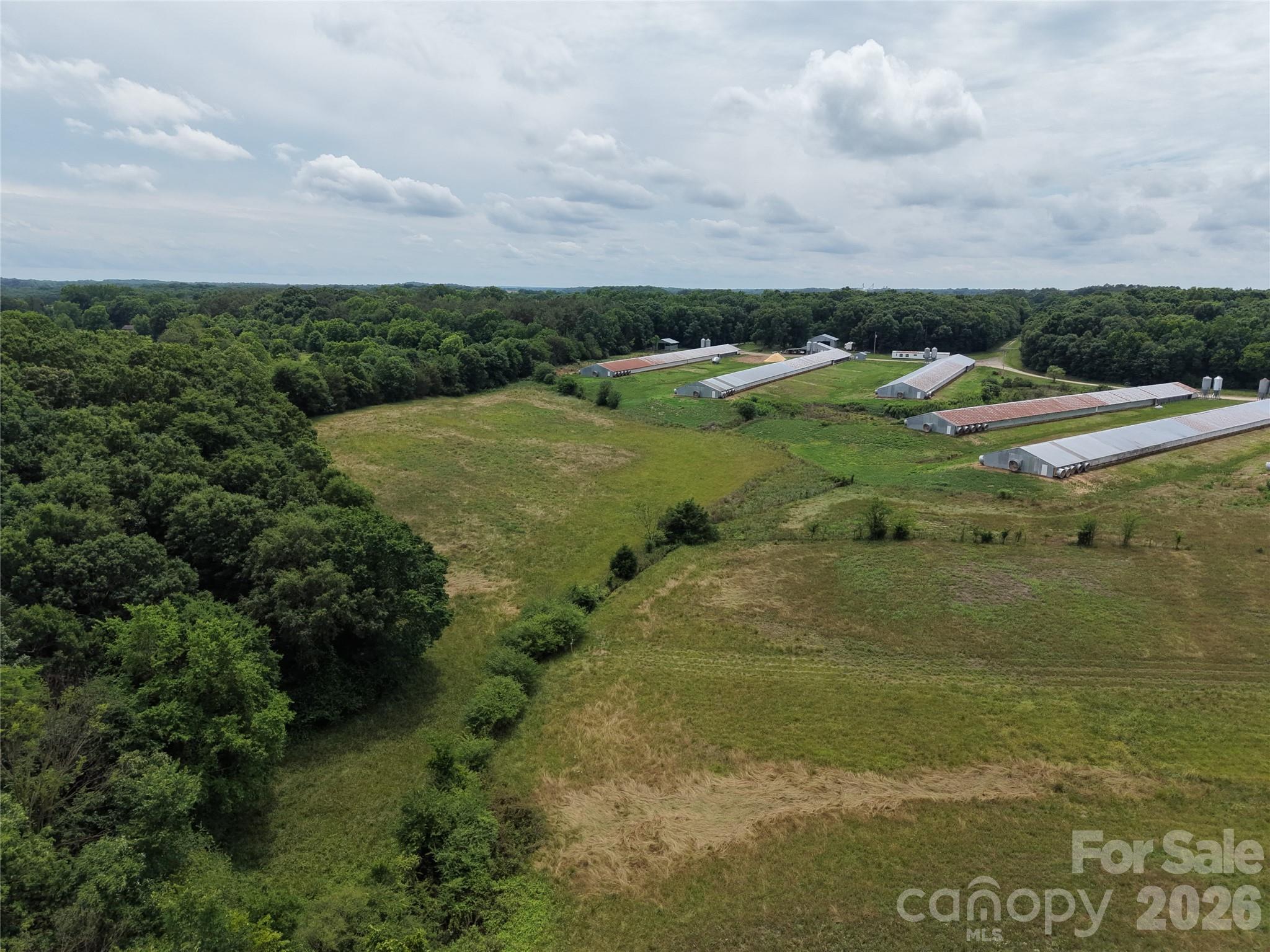 0 Pigg Mattox Road Property Photo 8