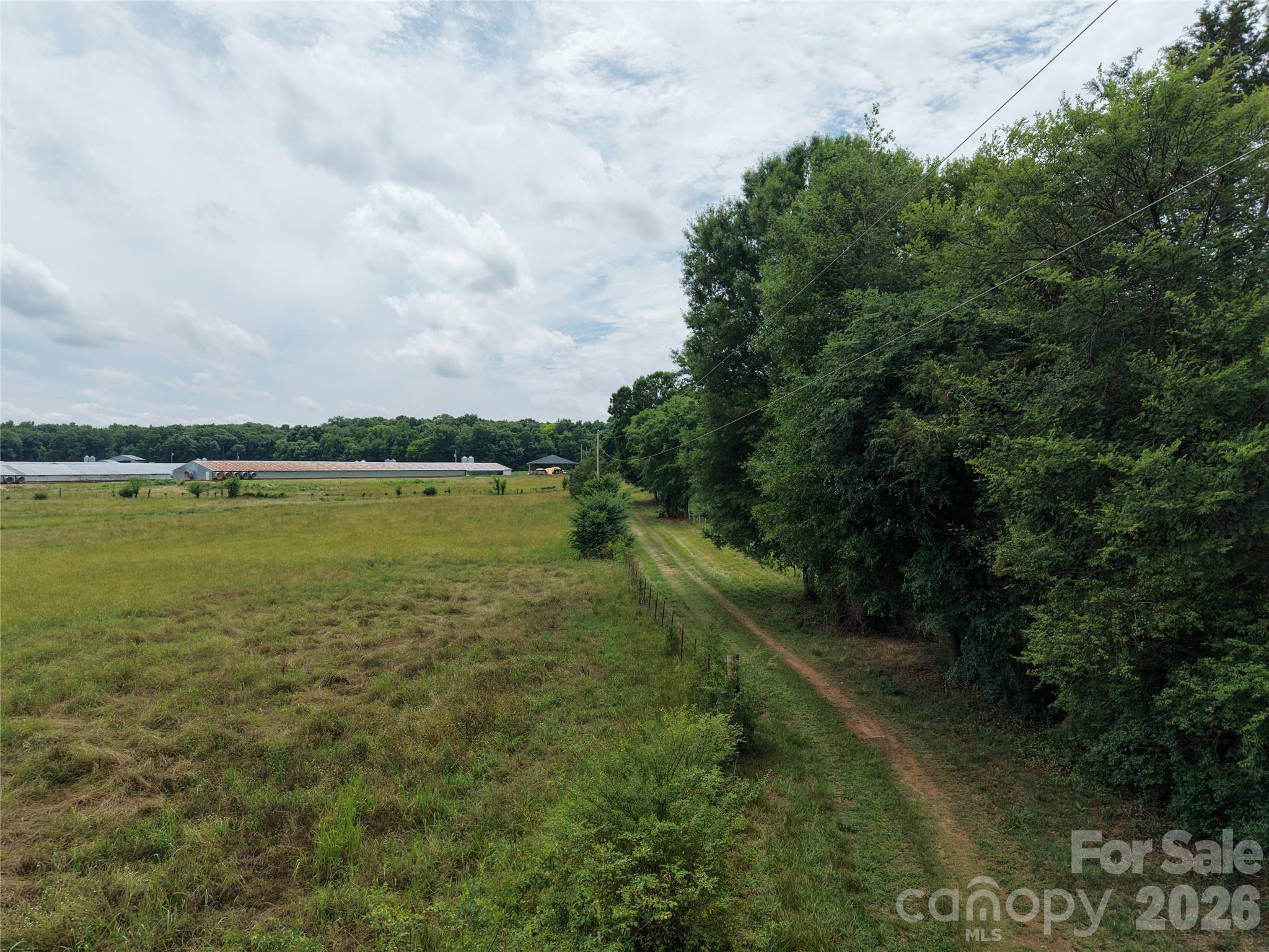 0 Pigg Mattox Road Property Photo 9