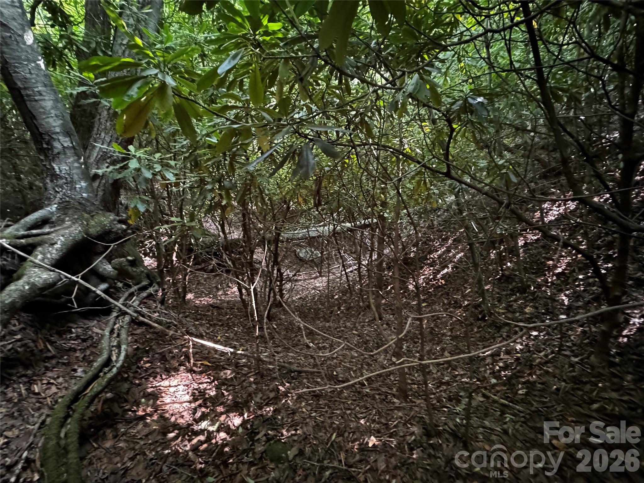 45 Windy Hollow Lane Property Photo 14