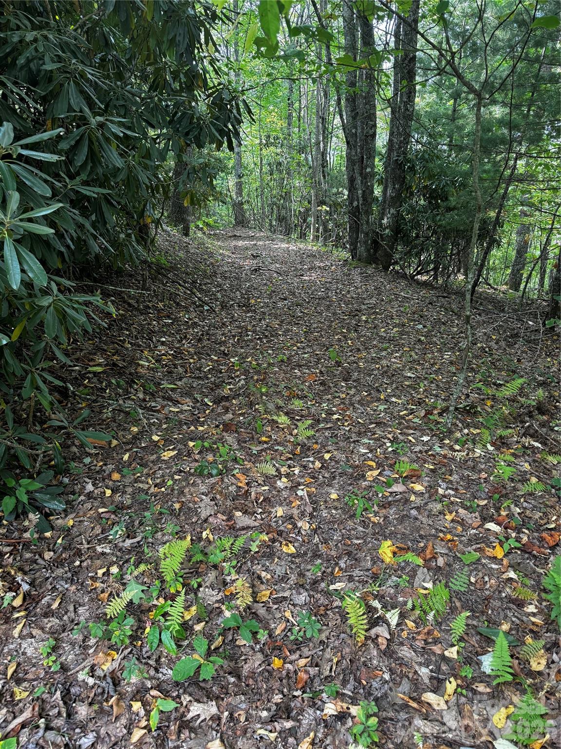 45 Windy Hollow Lane Property Photo 15