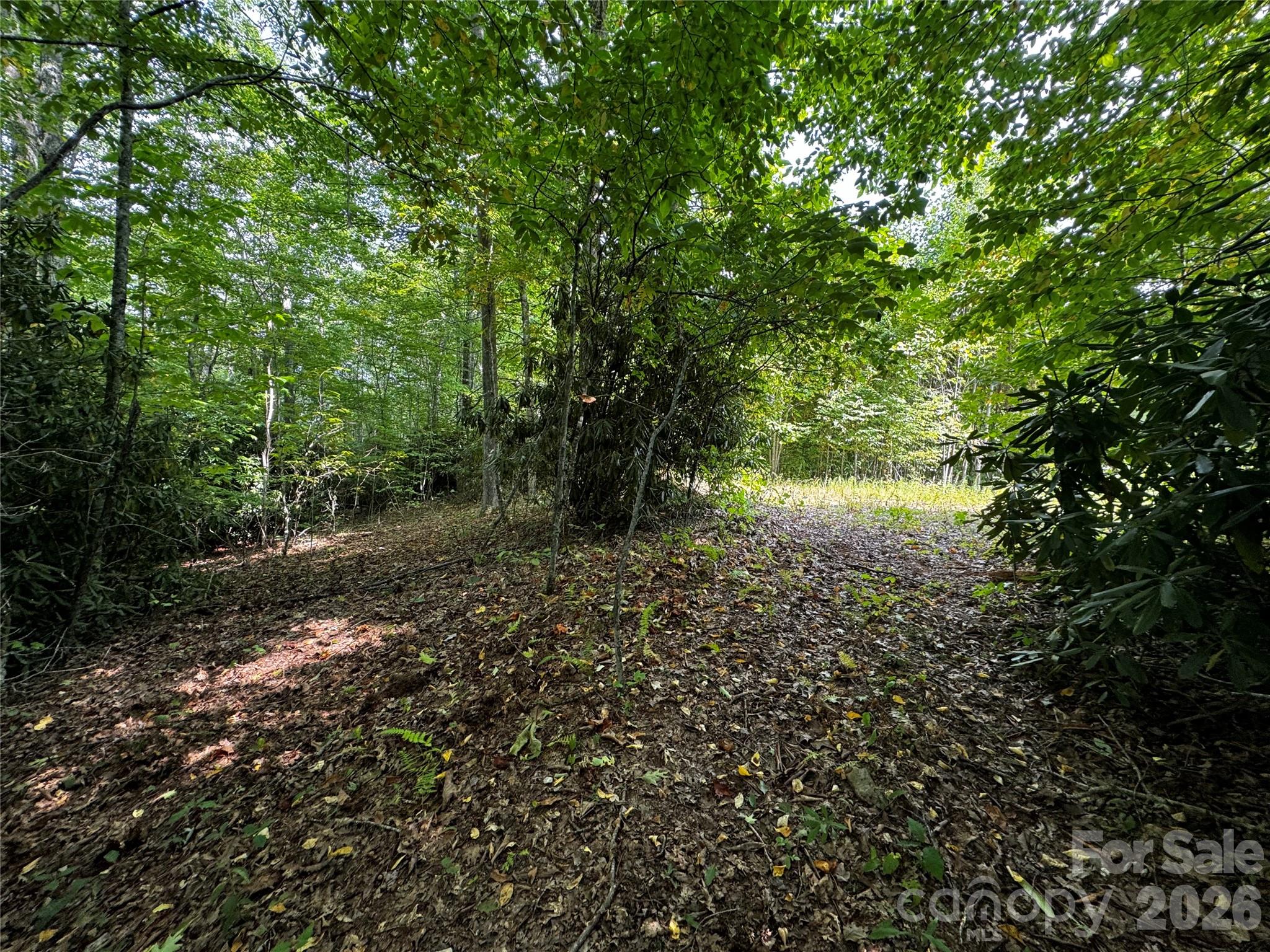 45 Windy Hollow Lane Property Photo 16