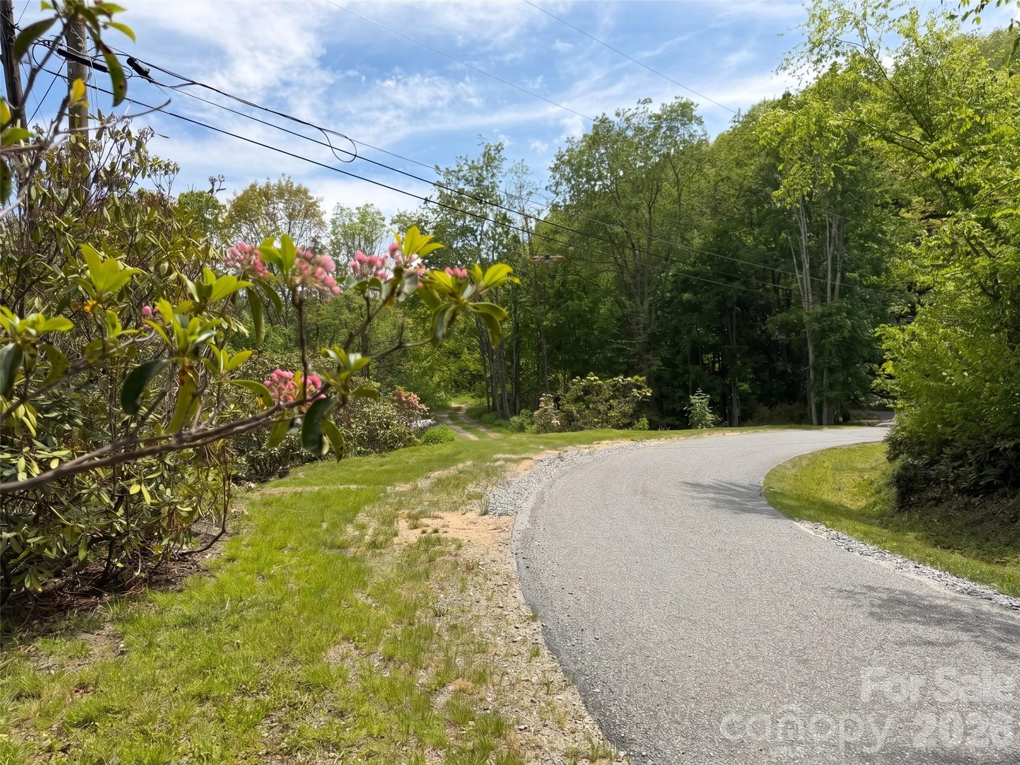 00 Leatherwood Road Property Photo 6