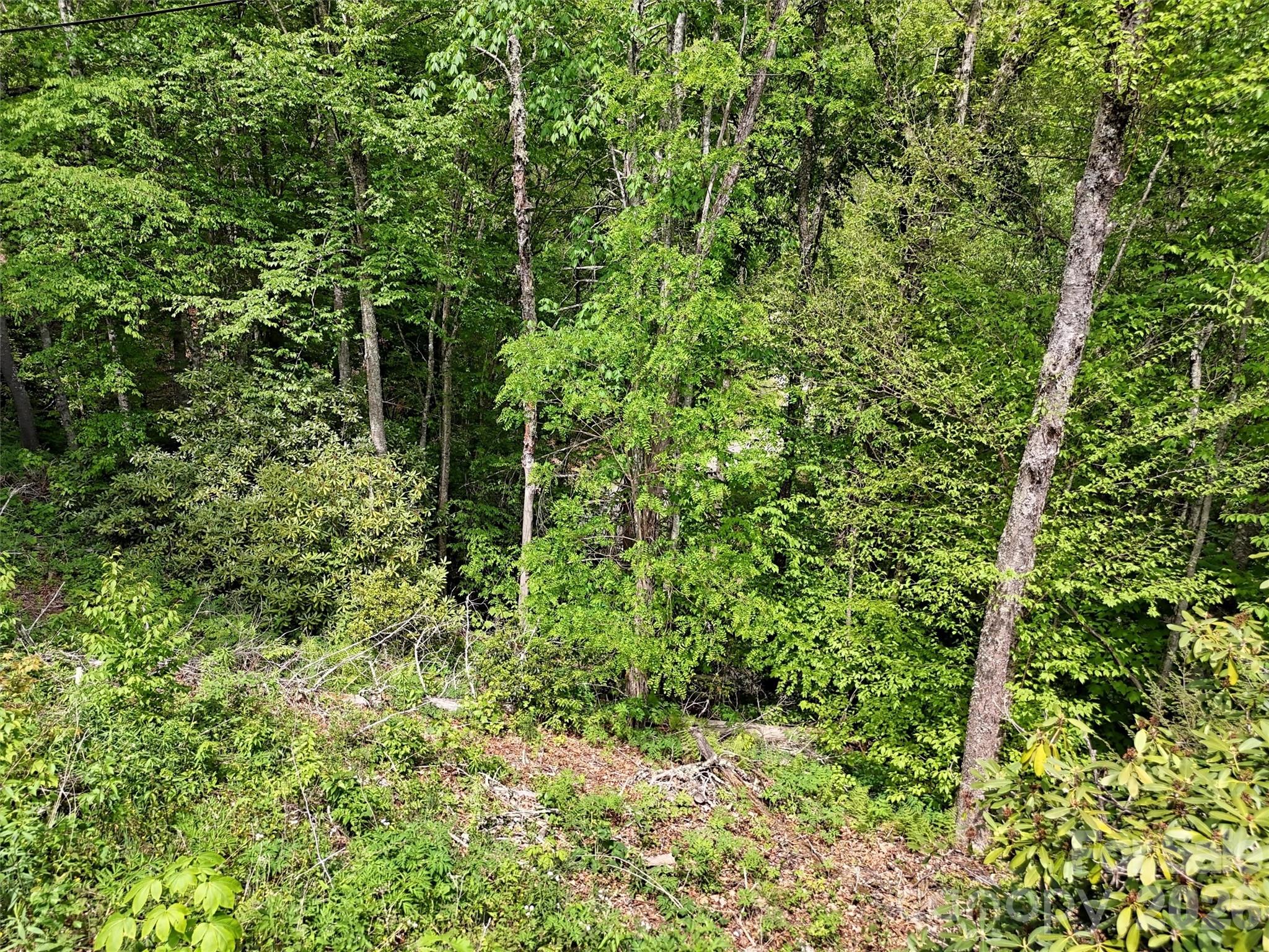 00 Leatherwood Road Property Photo 9