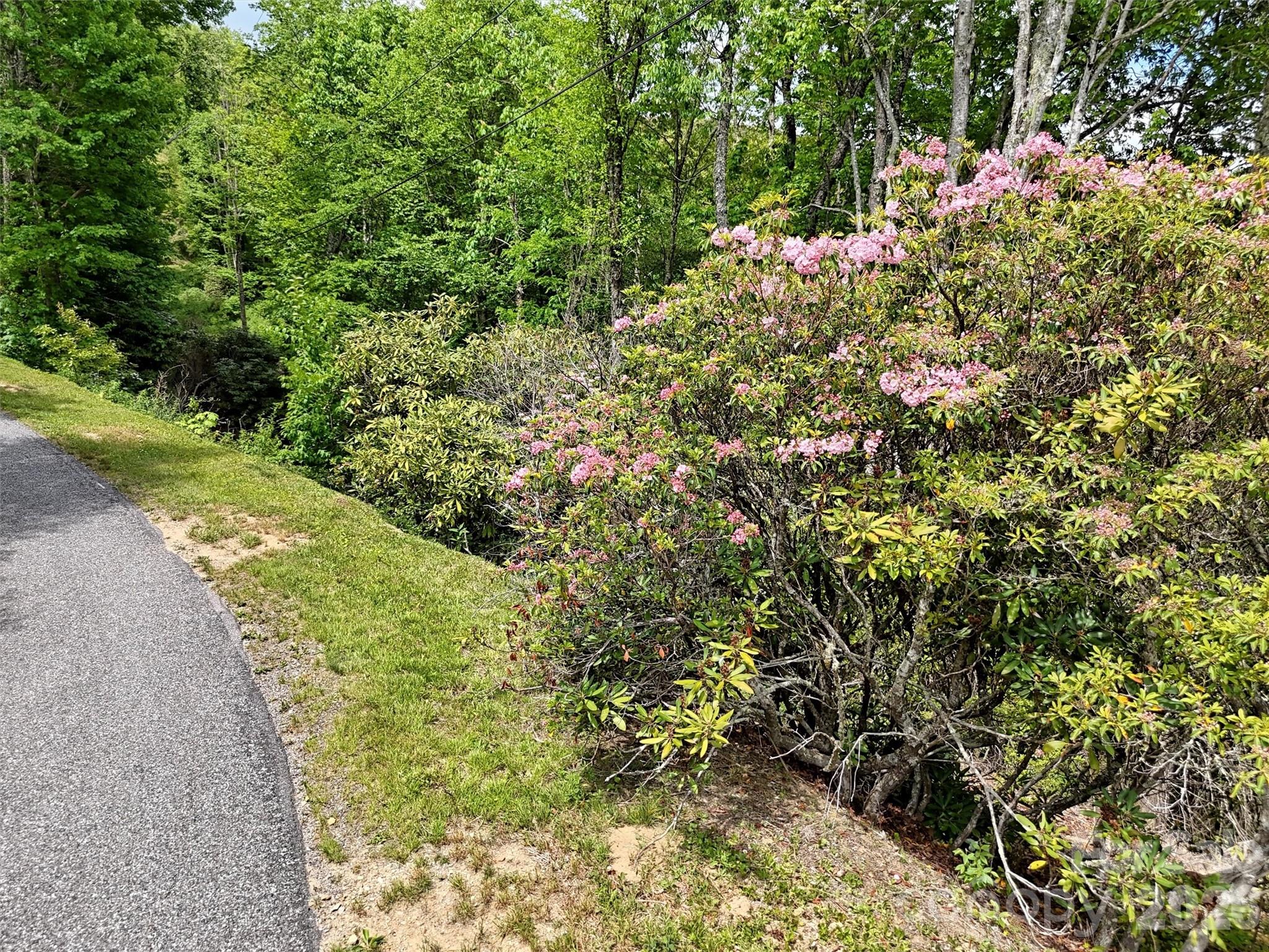 00 Leatherwood Road Property Photo 10