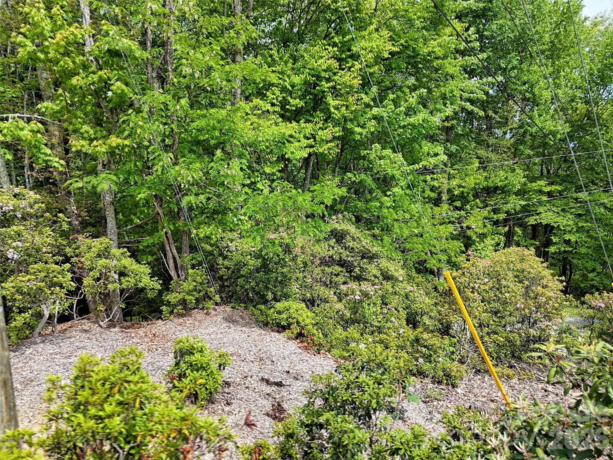 00 Leatherwood Road Property Photo 11