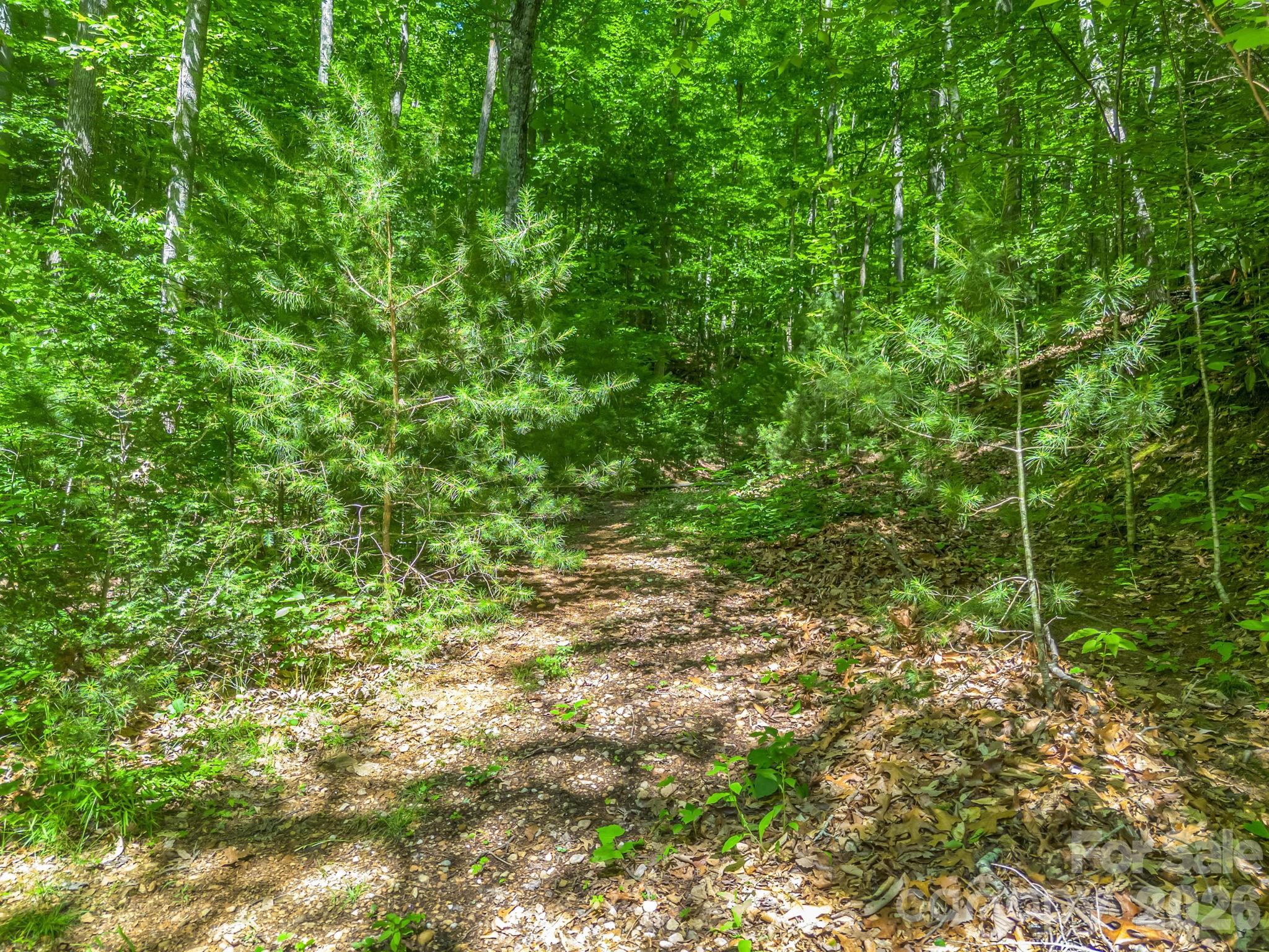 21 Wits End Trail Property Photo 20