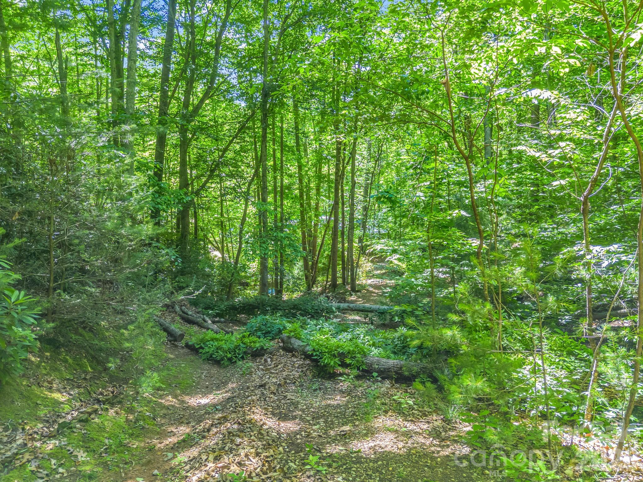 21 Wits End Trail Property Photo 22