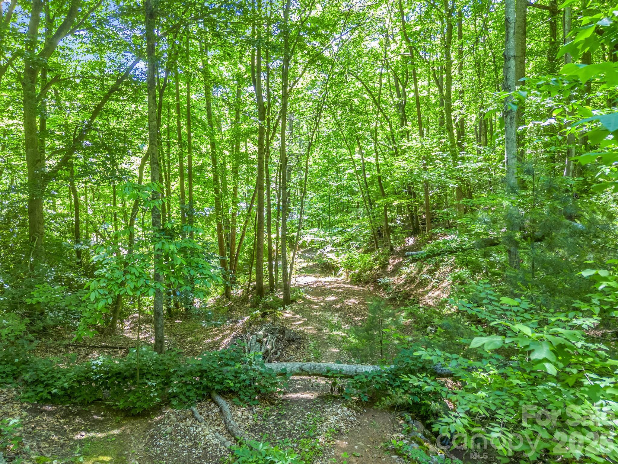 21 Wits End Trail Property Photo 23