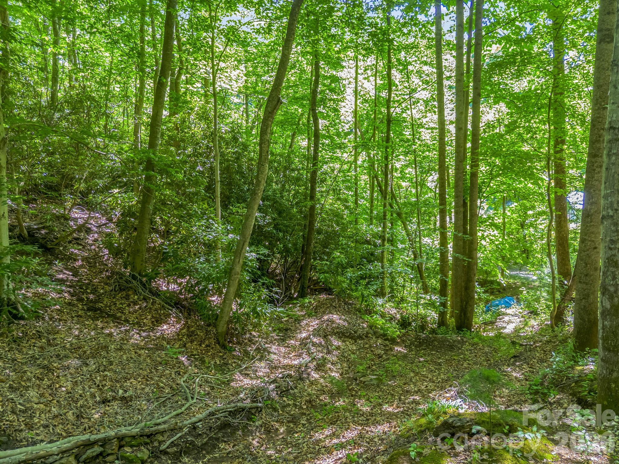 21 Wits End Trail Property Photo 24