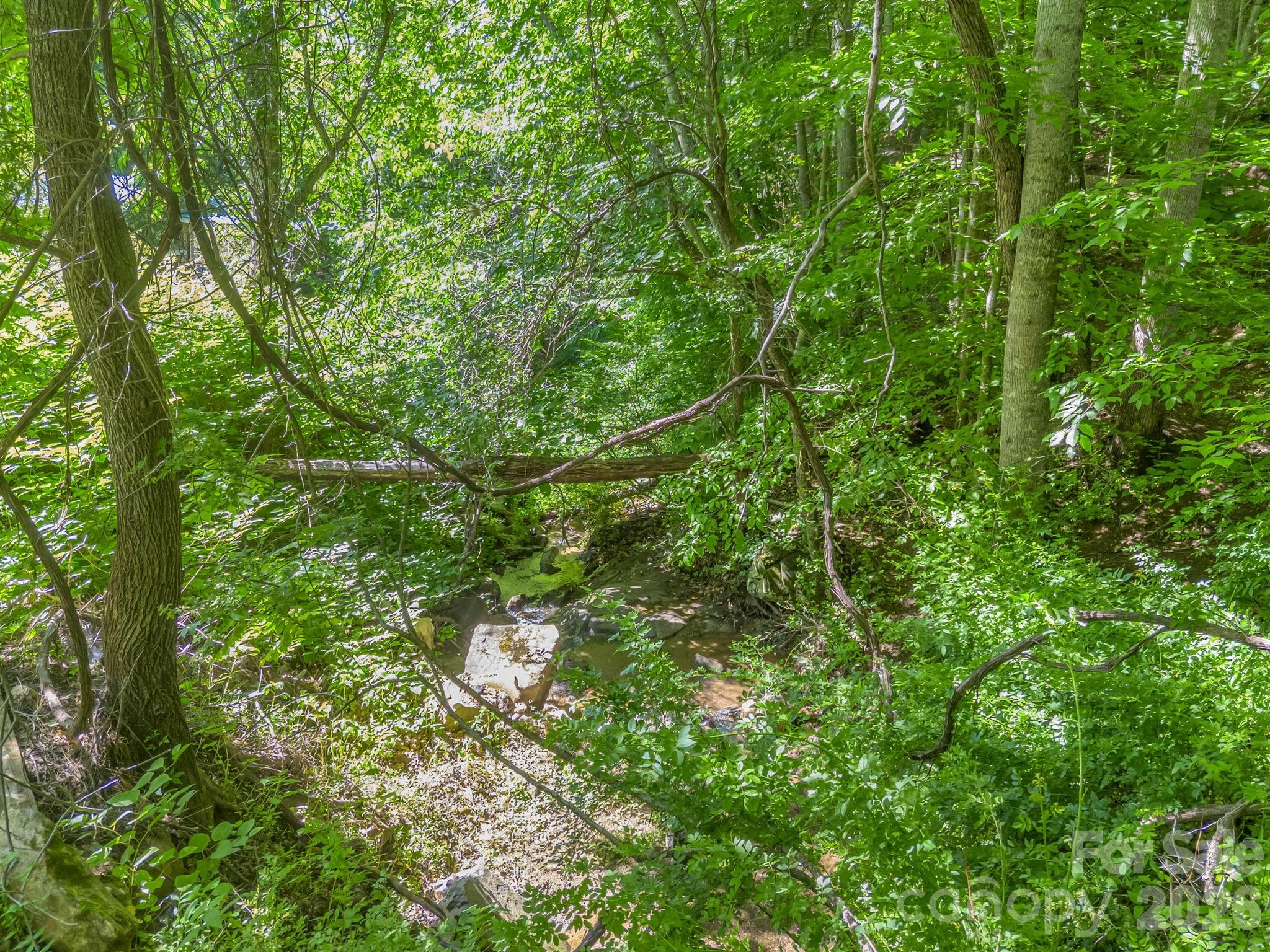21 Wits End Trail Property Photo 27
