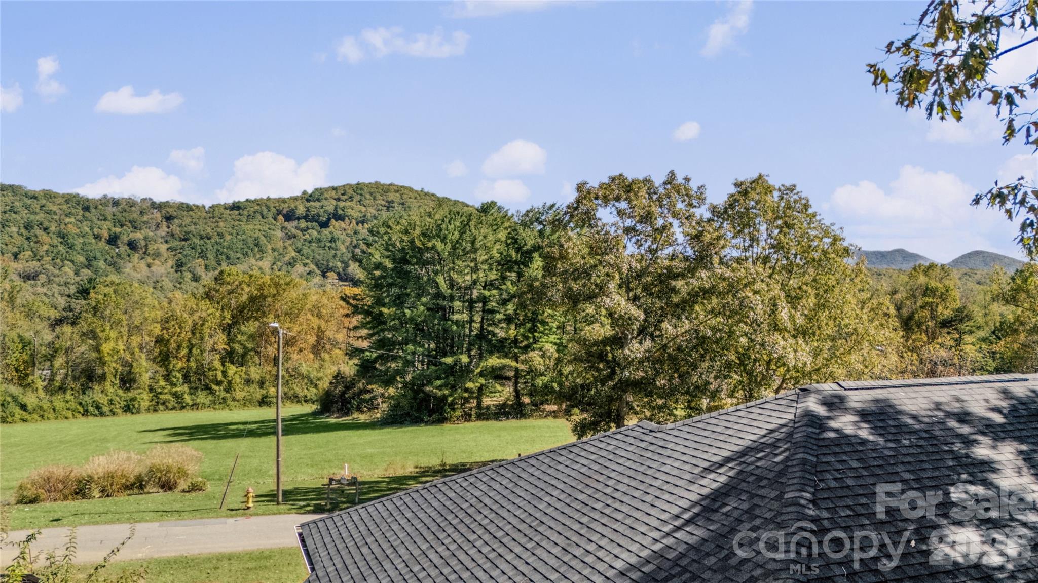 540 Old Haw Creek Road Property Photo 2