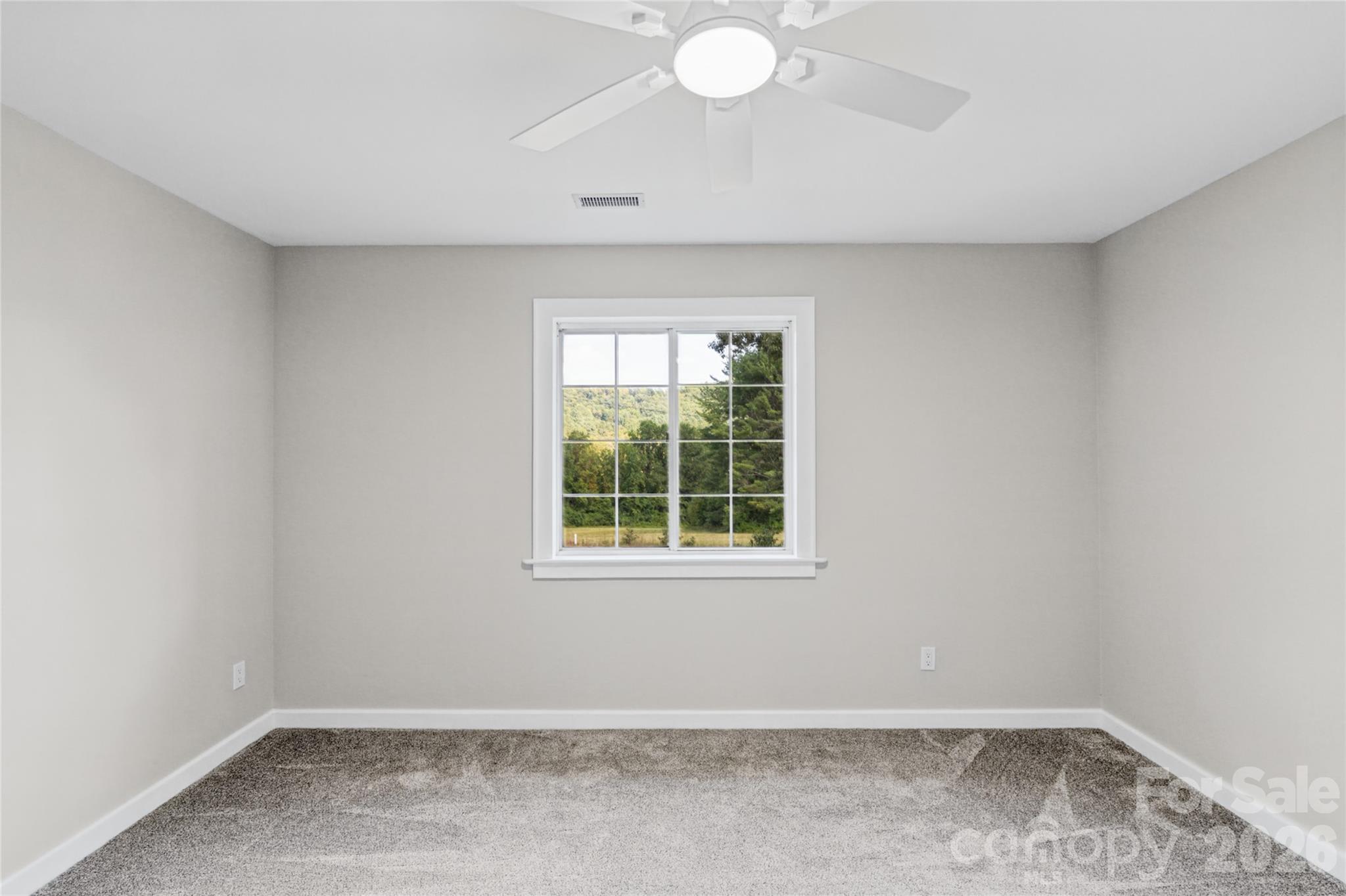 540 Old Haw Creek Road Property Photo 15