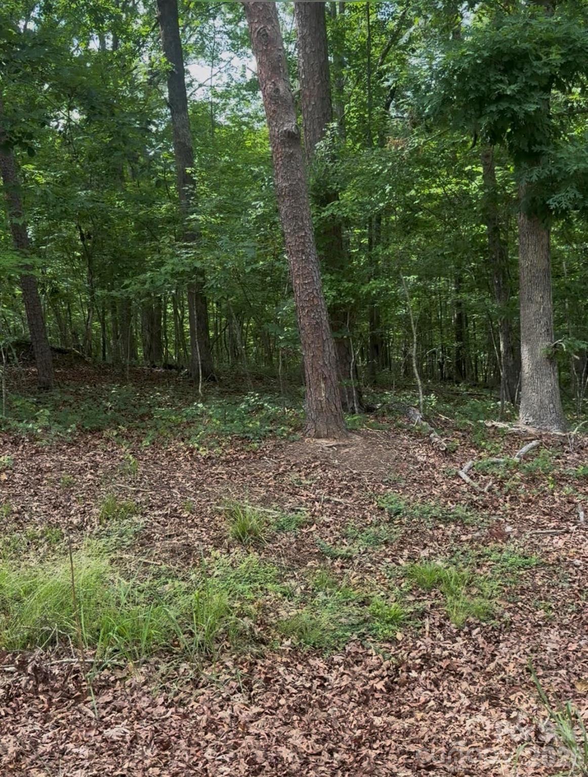 00 Acorn Acres Road Property Photo 7