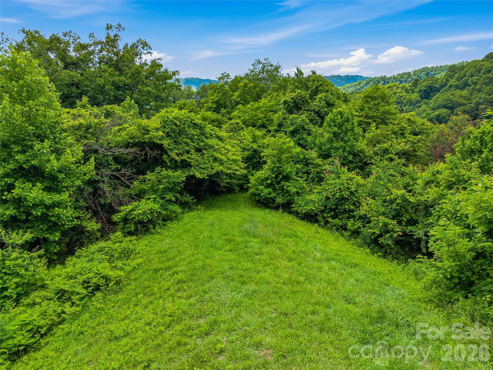 1877 Wilson Cove Road Property Photo 40