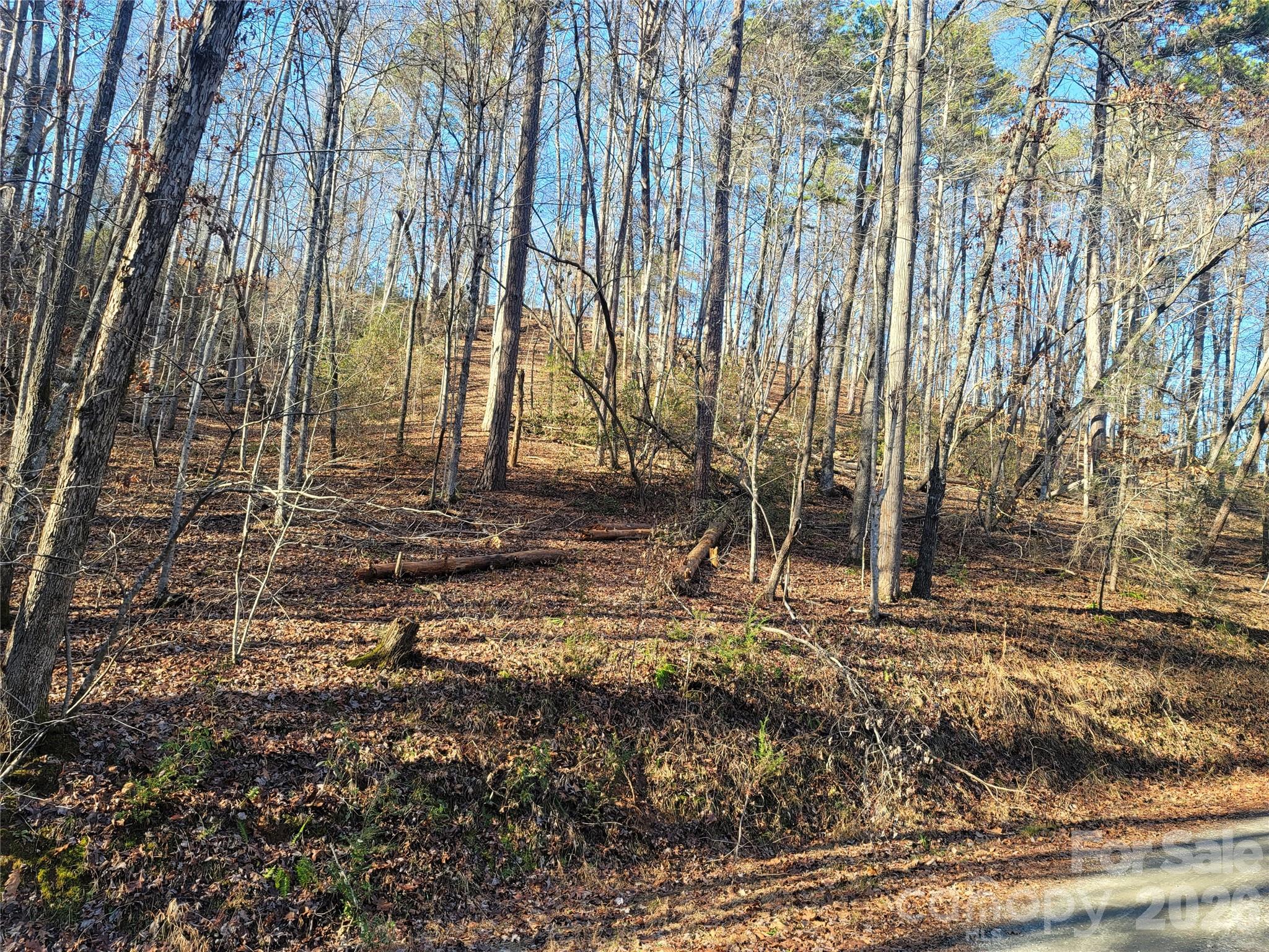 Lot 140 Rainbow Circle Property Photo 13