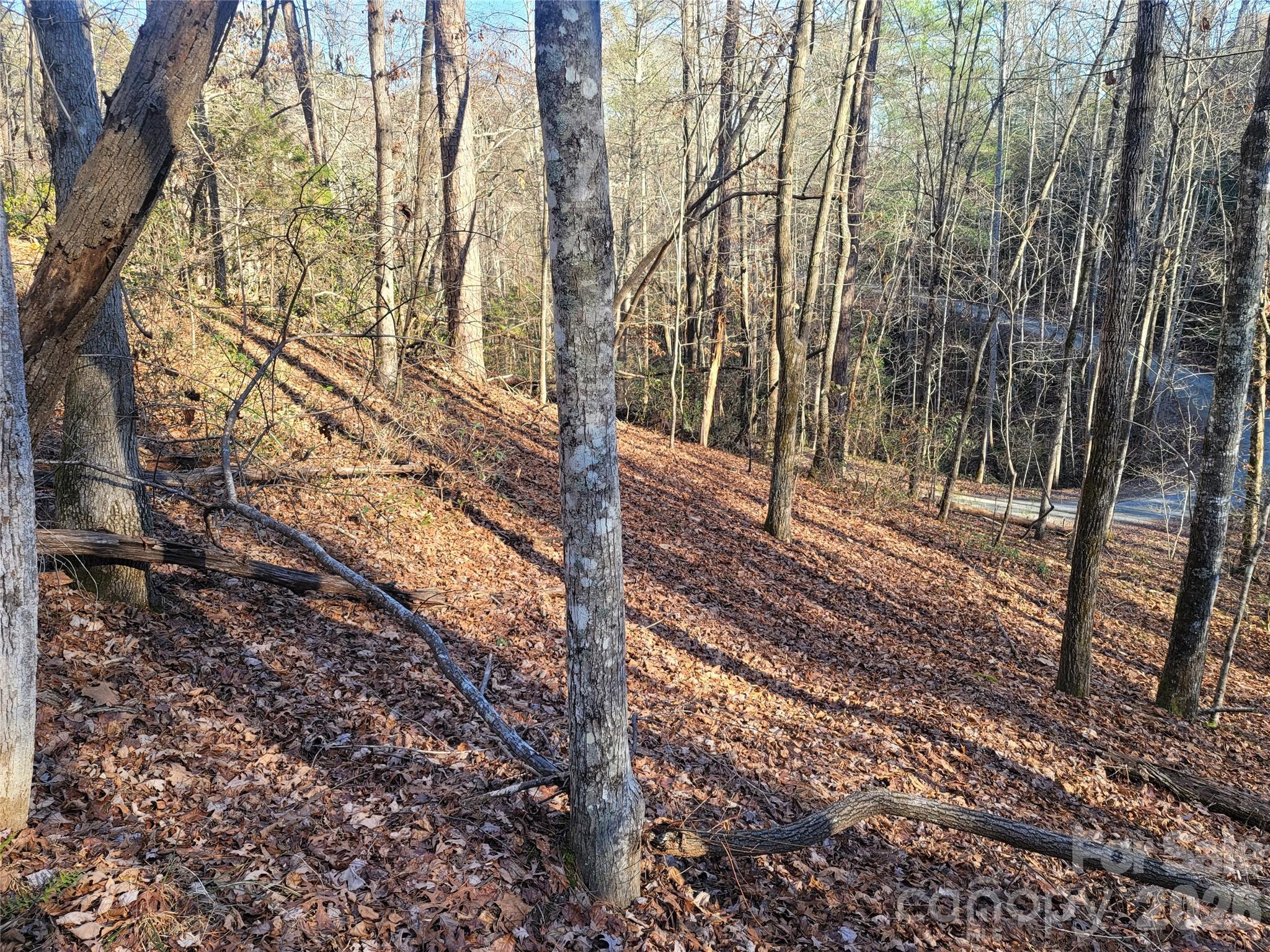 Lot 140 Rainbow Circle Property Photo 14