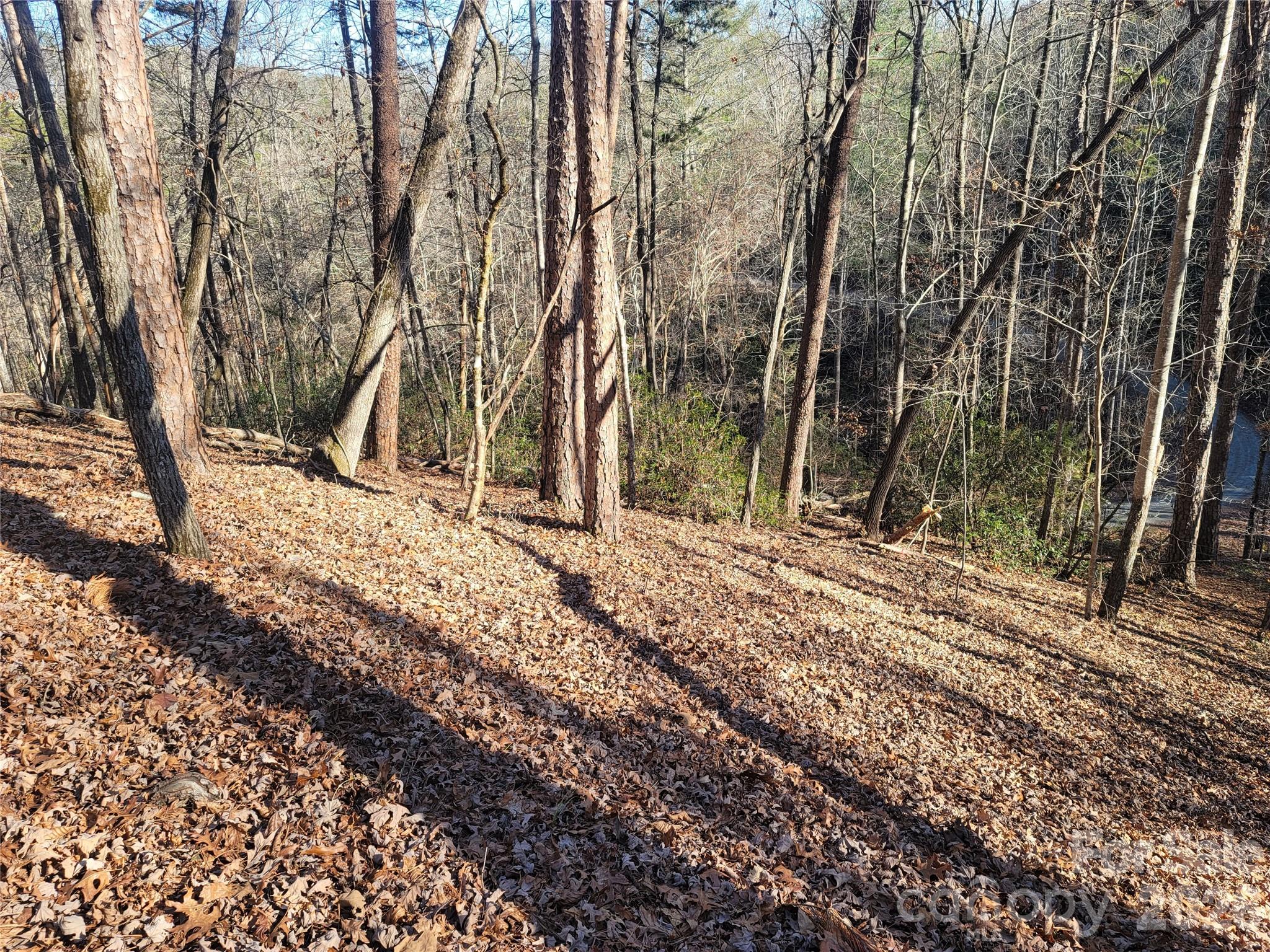 Lot 140 Rainbow Circle Property Photo 15
