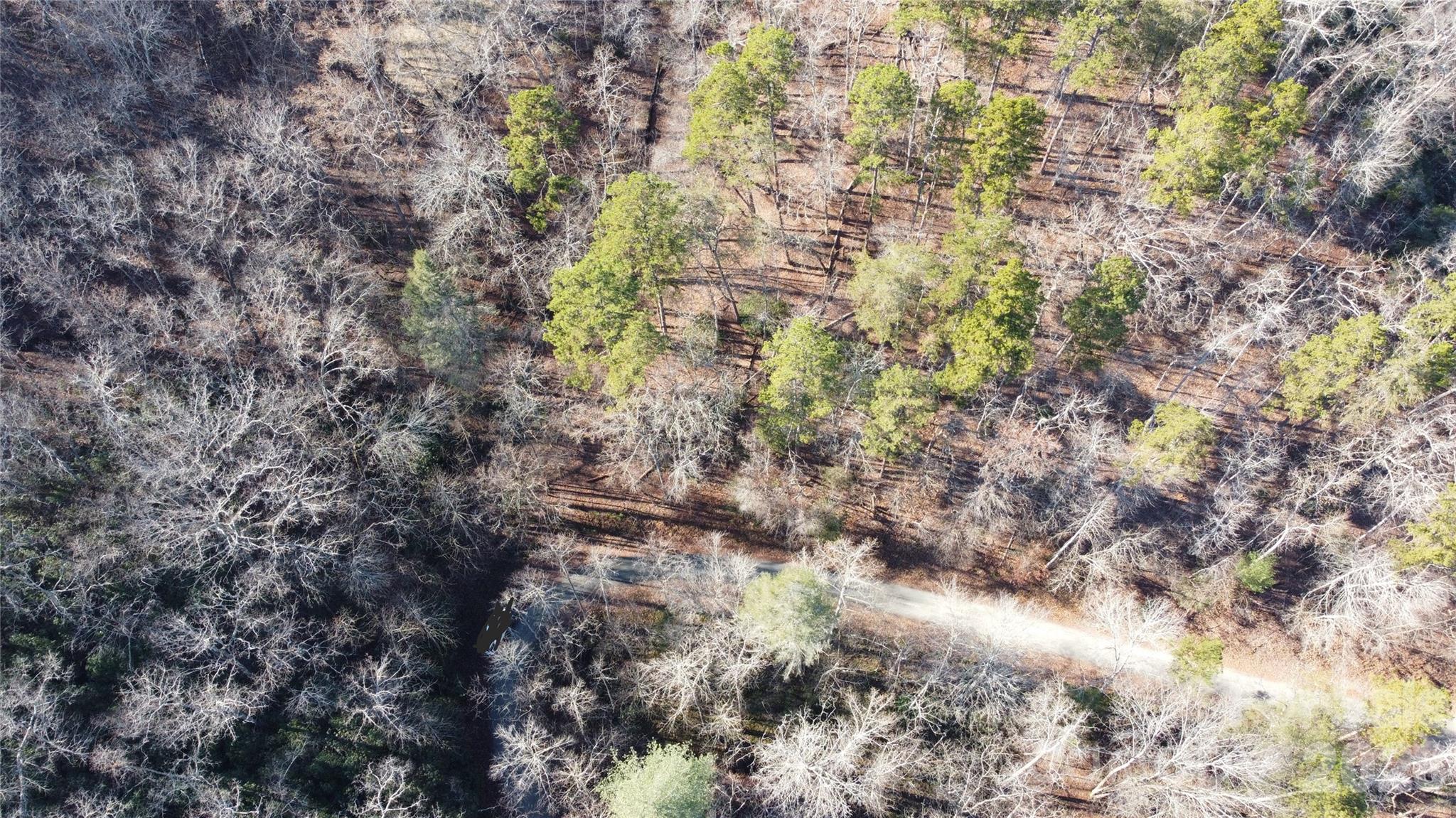 Lot 140 Rainbow Circle Property Photo 19