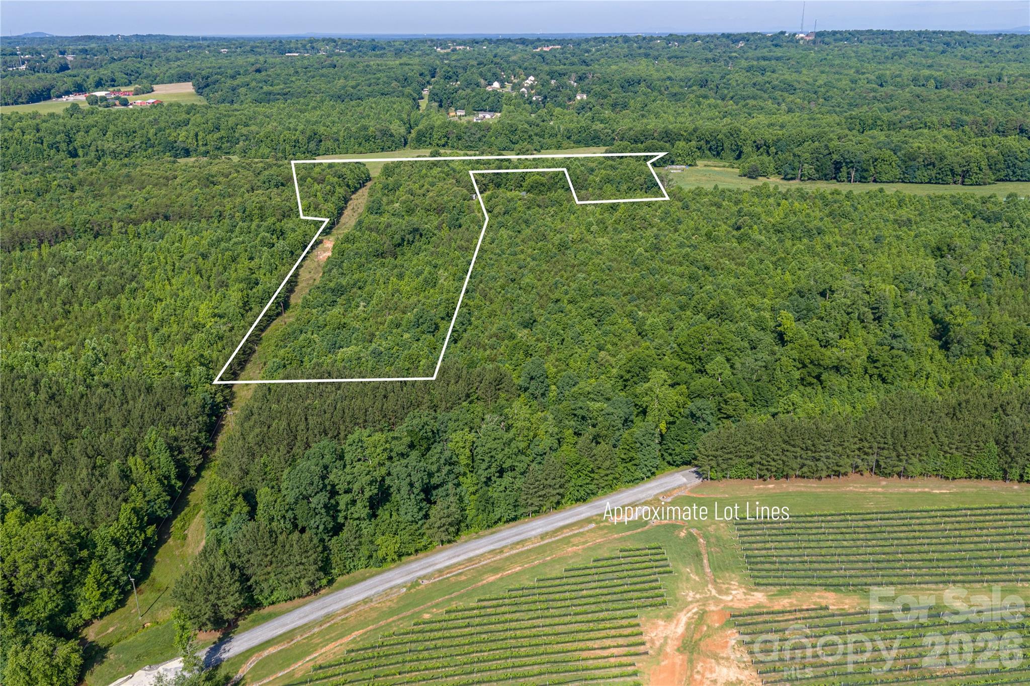 0 Goins Farm Road Property Photo 2