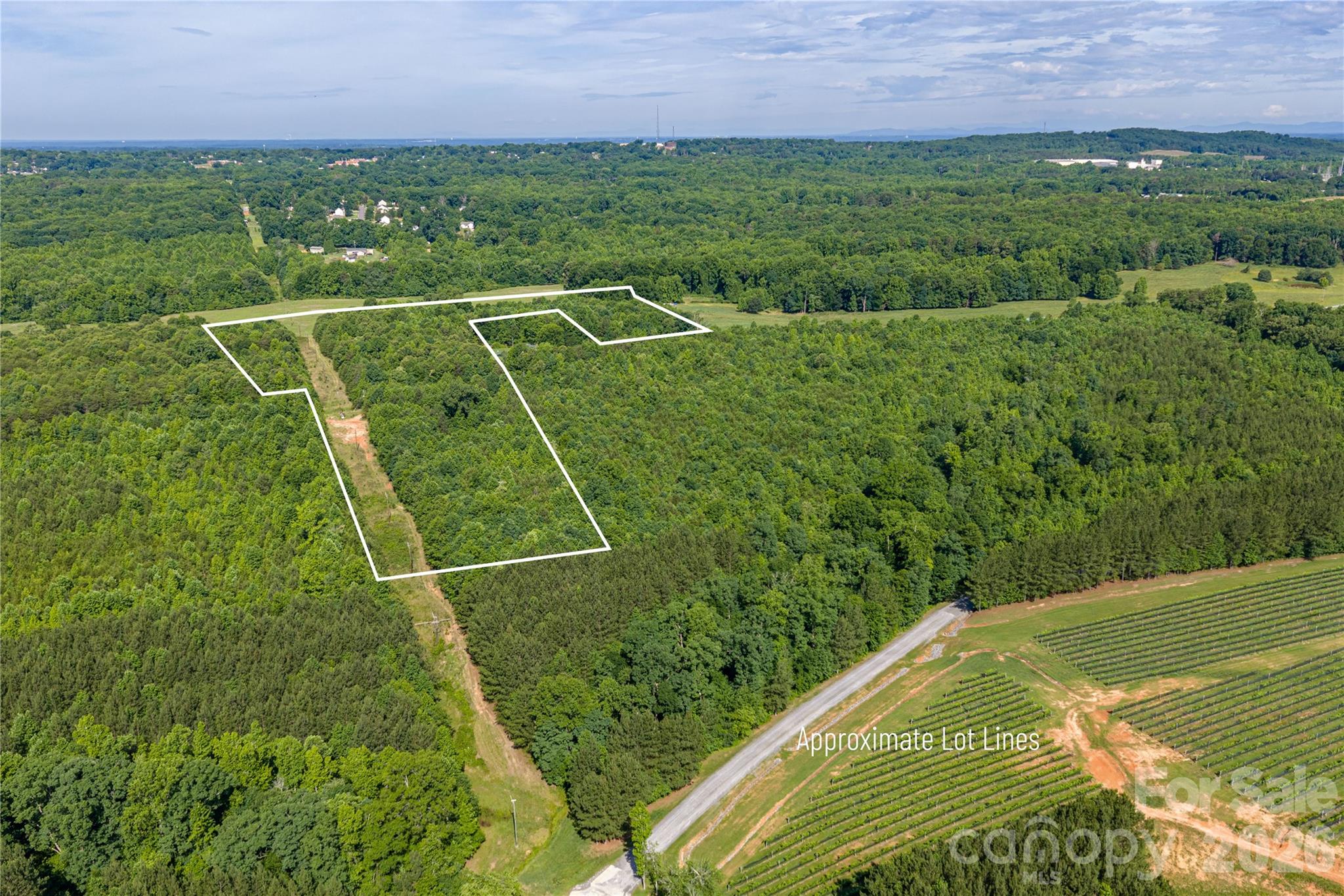 0 Goins Farm Road Property Photo 3