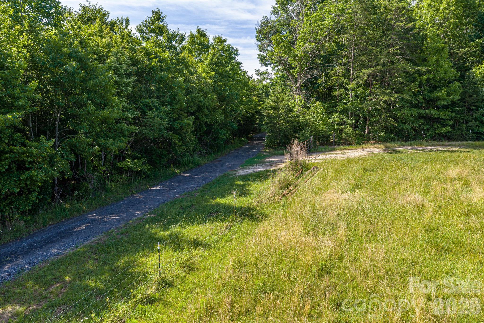 0 Goins Farm Road Property Photo 6