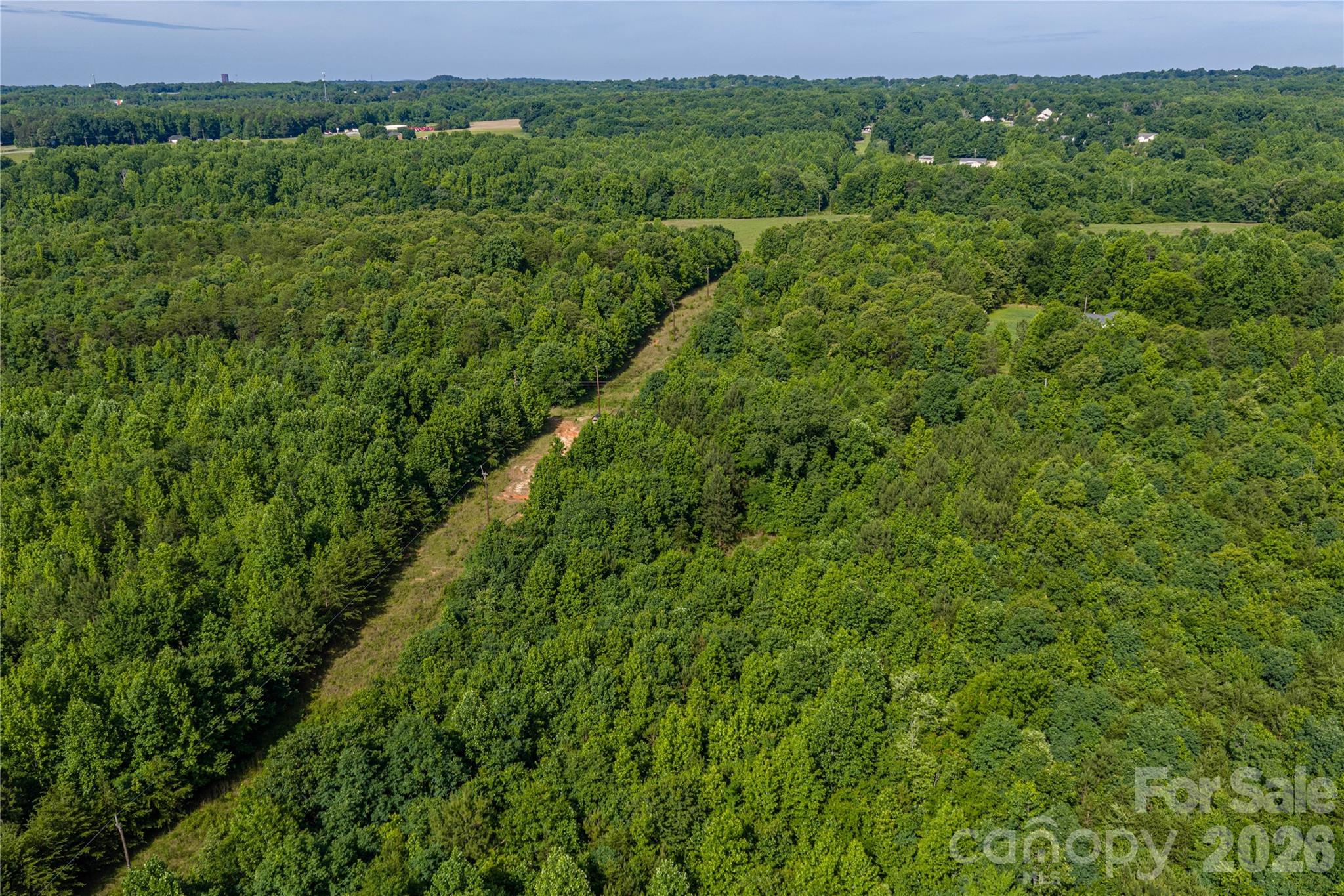 0 Goins Farm Road Property Photo 12
