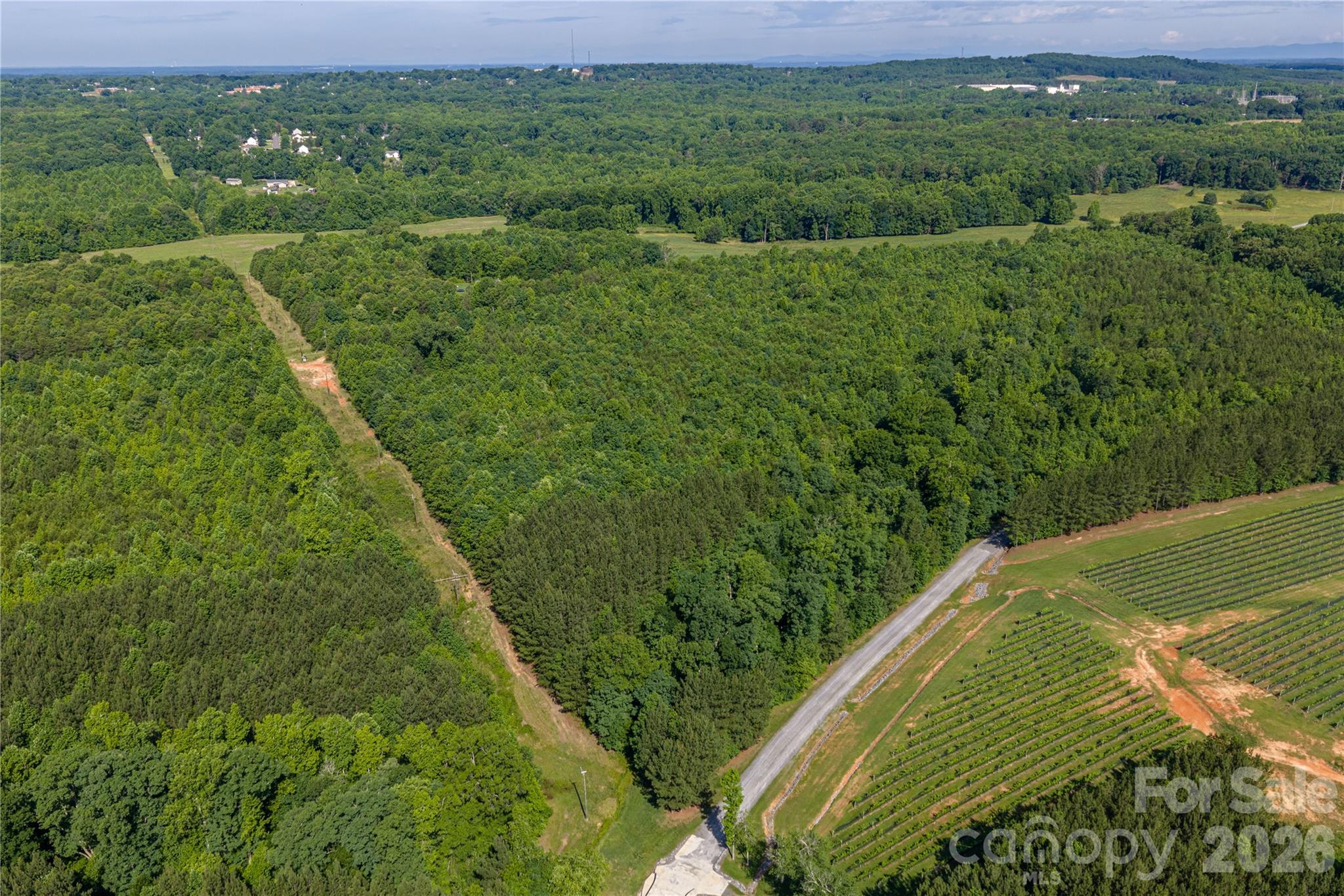 0 Goins Farm Road Property Photo 13