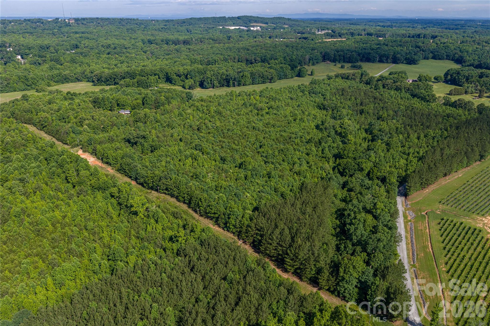 0 Goins Farm Road Property Photo 14