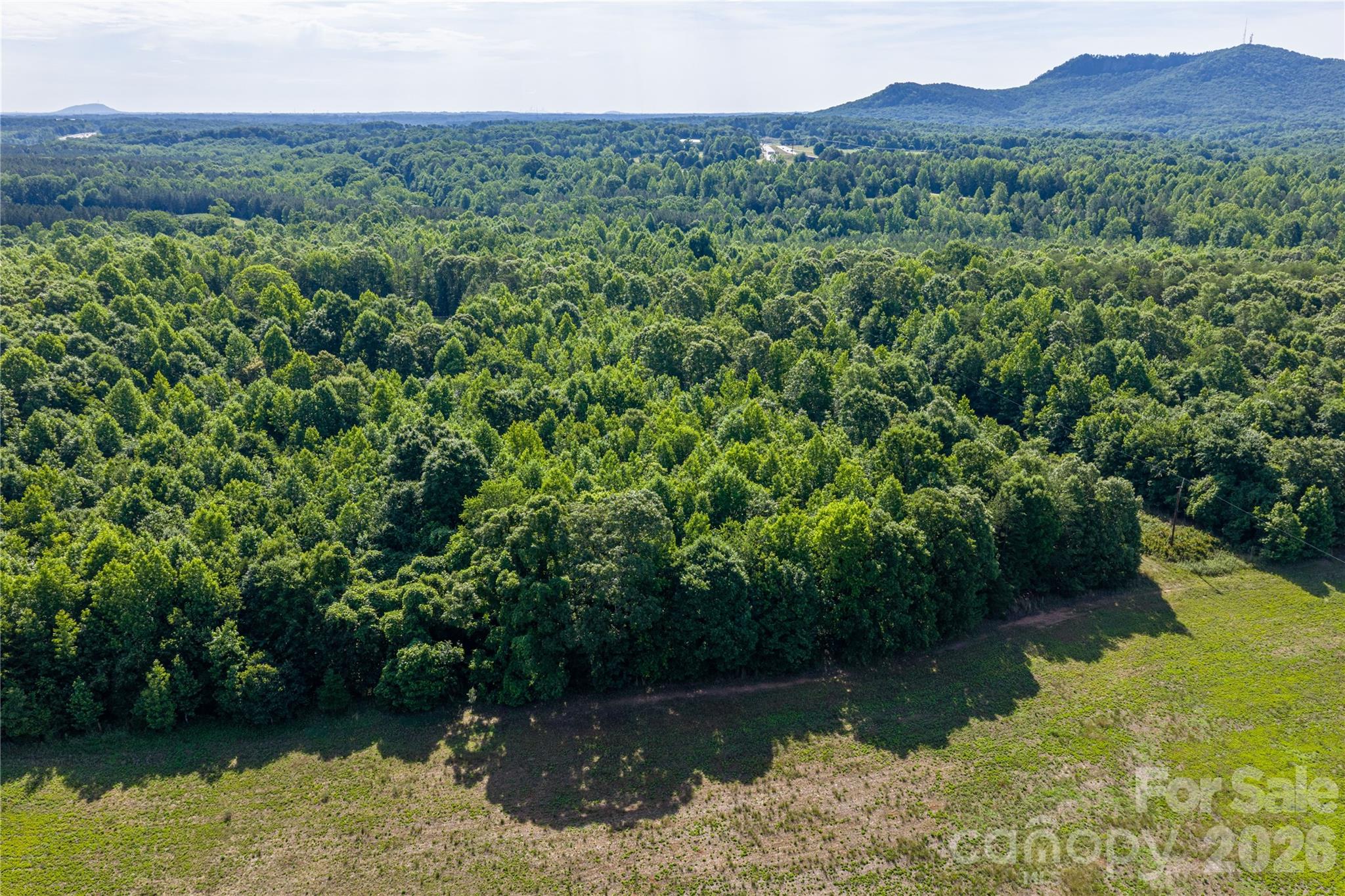 0 Goins Farm Road Property Photo 15