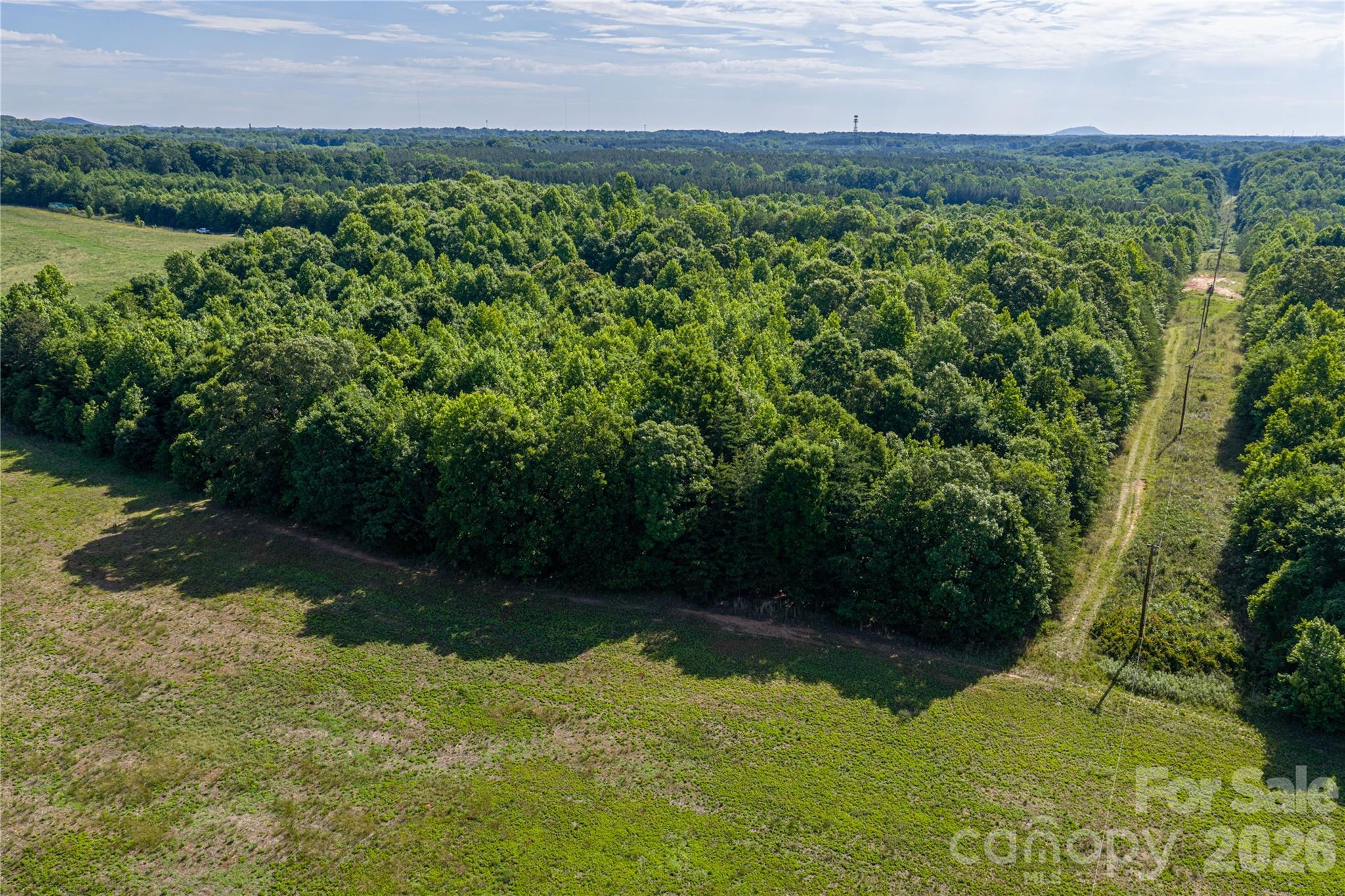 0 Goins Farm Road Property Photo 16