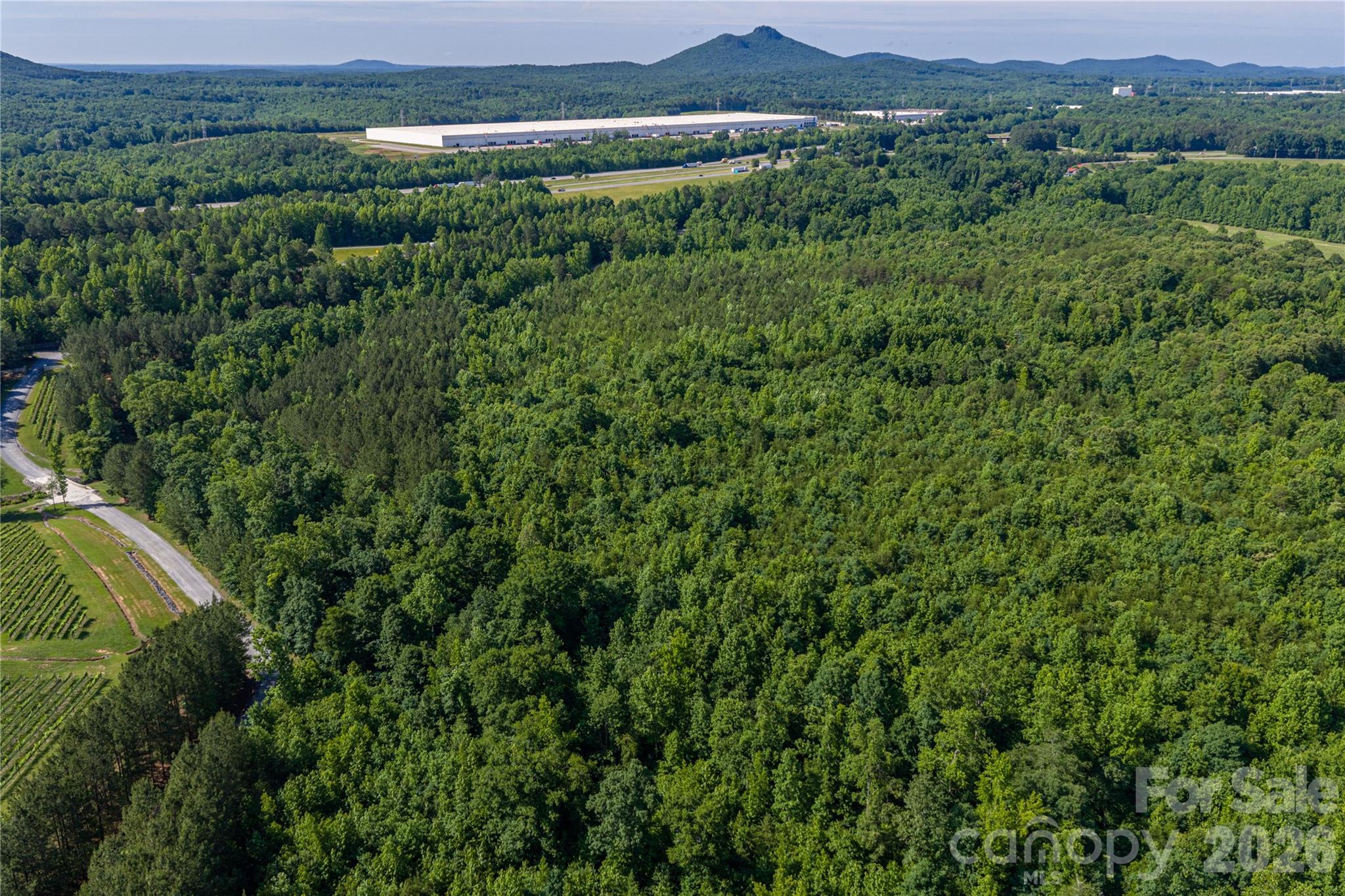 0 Goins Farm Road Property Photo 19